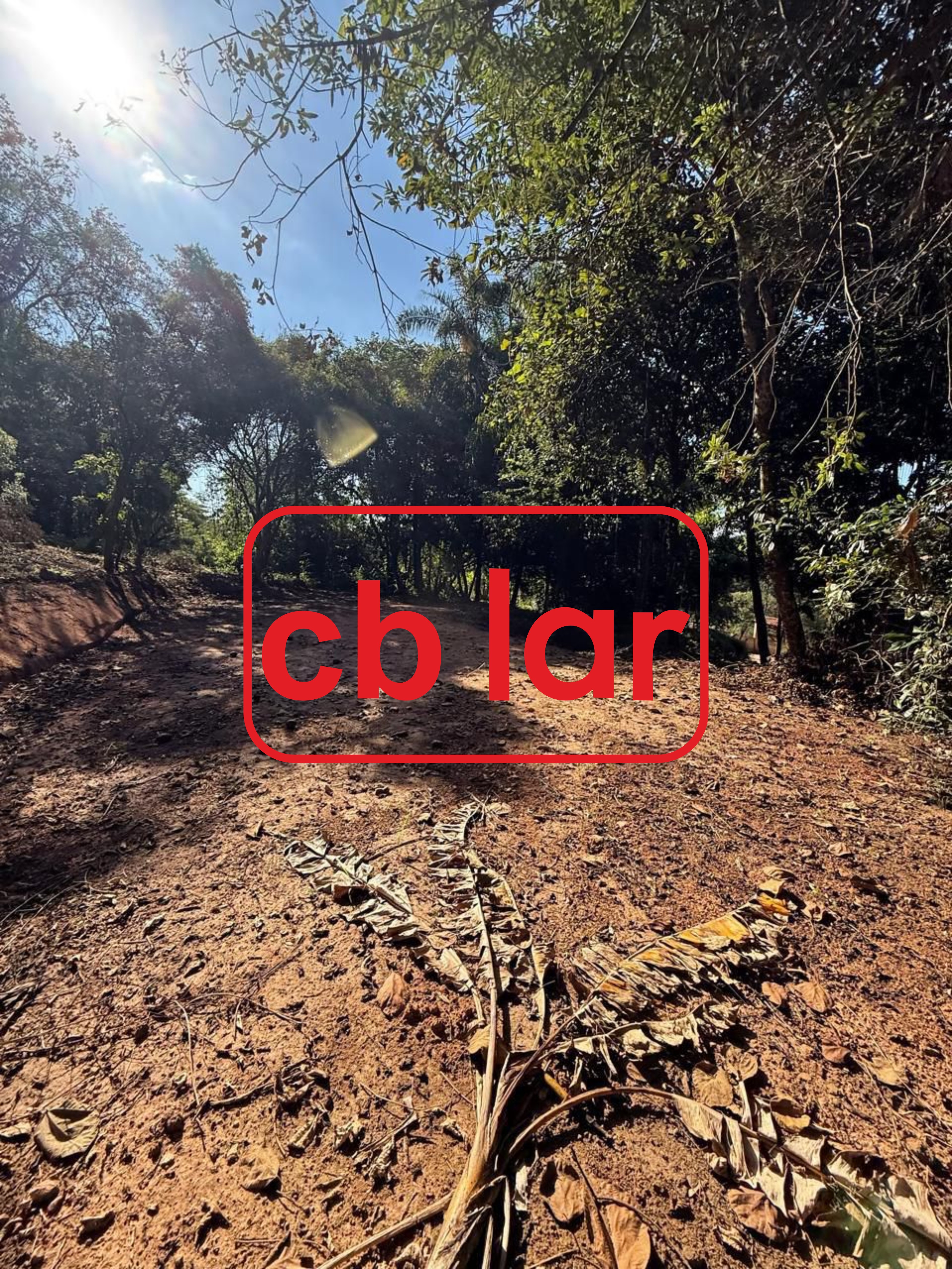 Terreno, 2142 m² - Foto 5