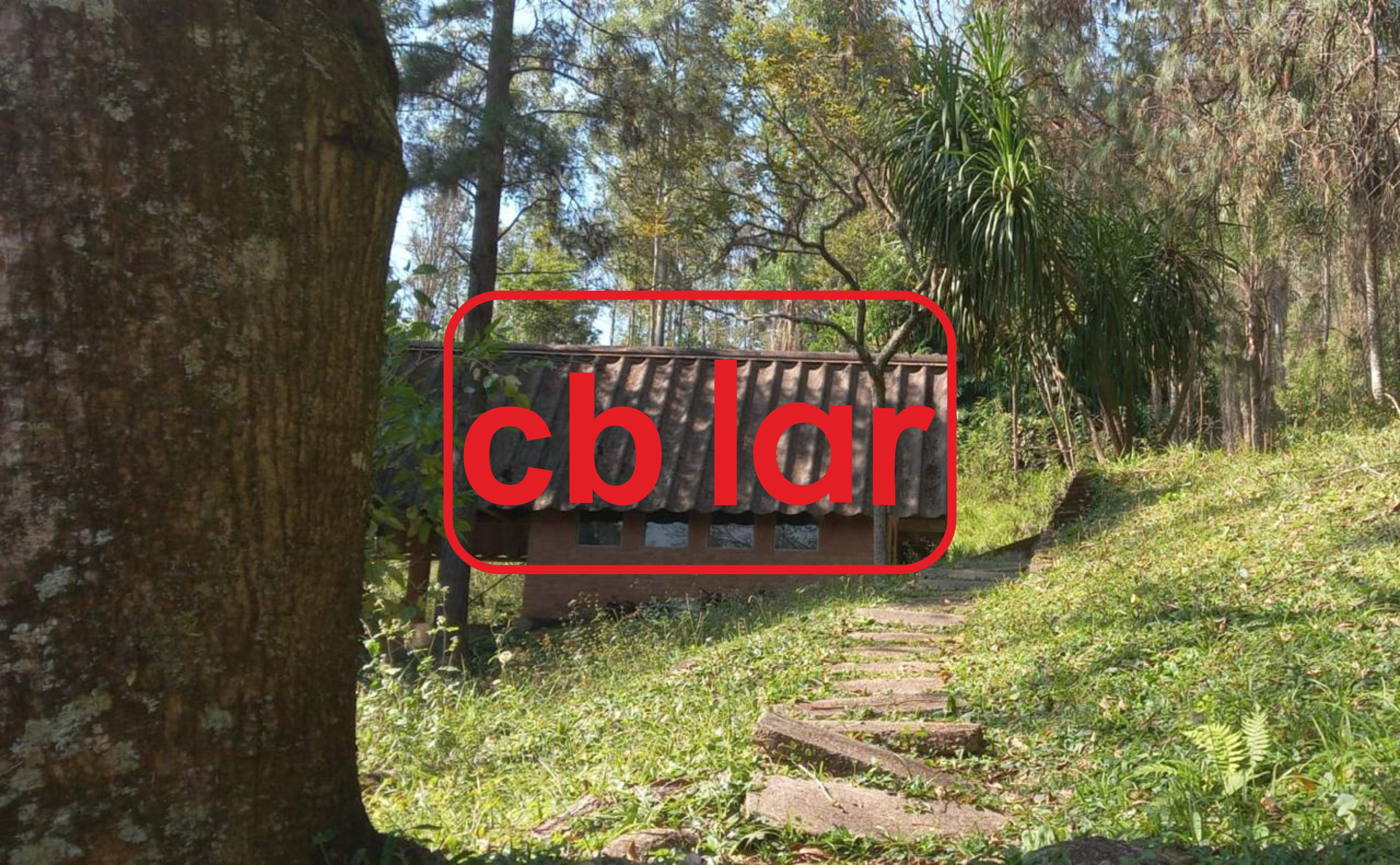 Sítio, 1 quarto, 10 hectares - Foto 3