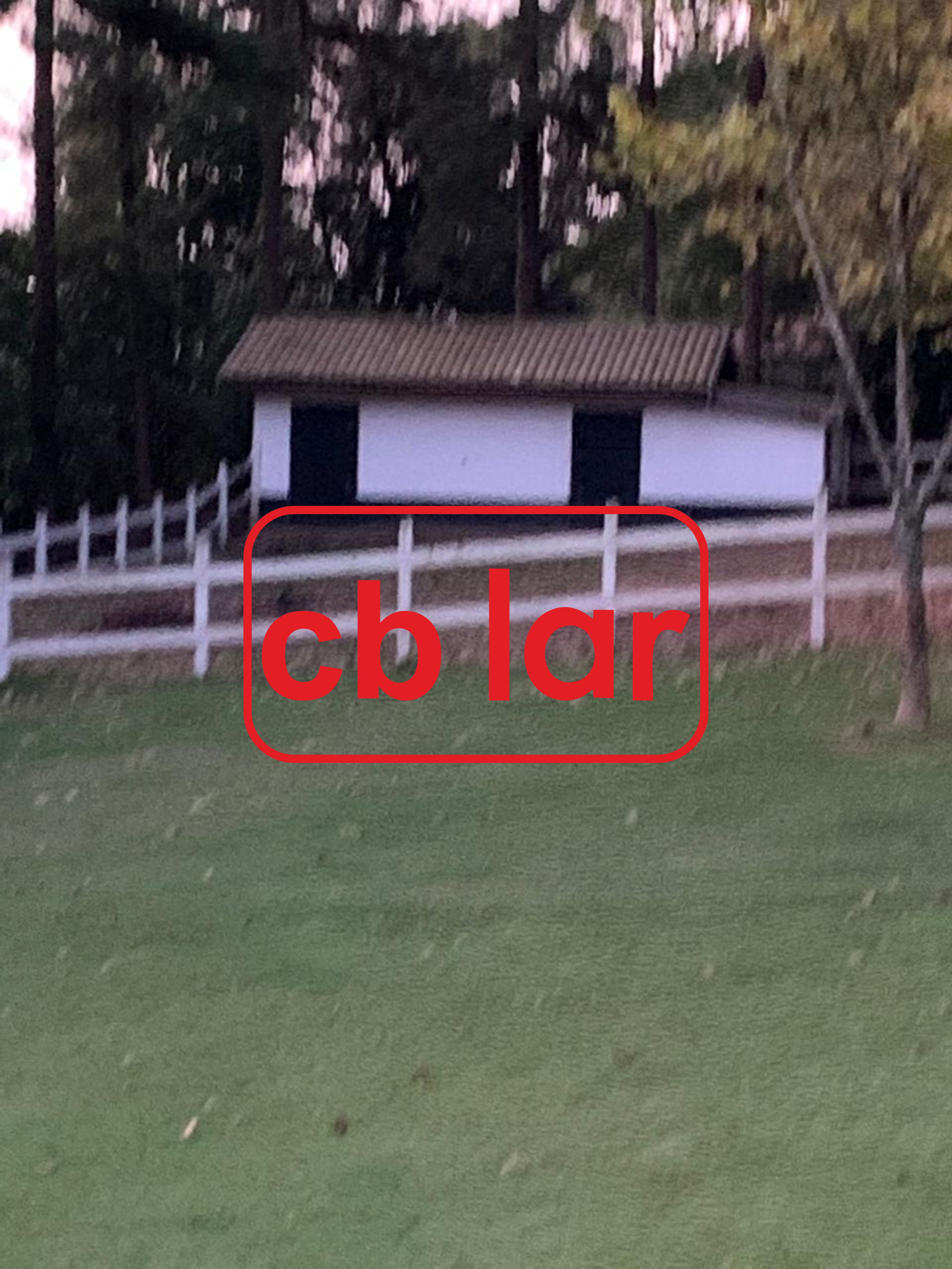 Chácara, 6 quartos, 1 hectares - Foto 16