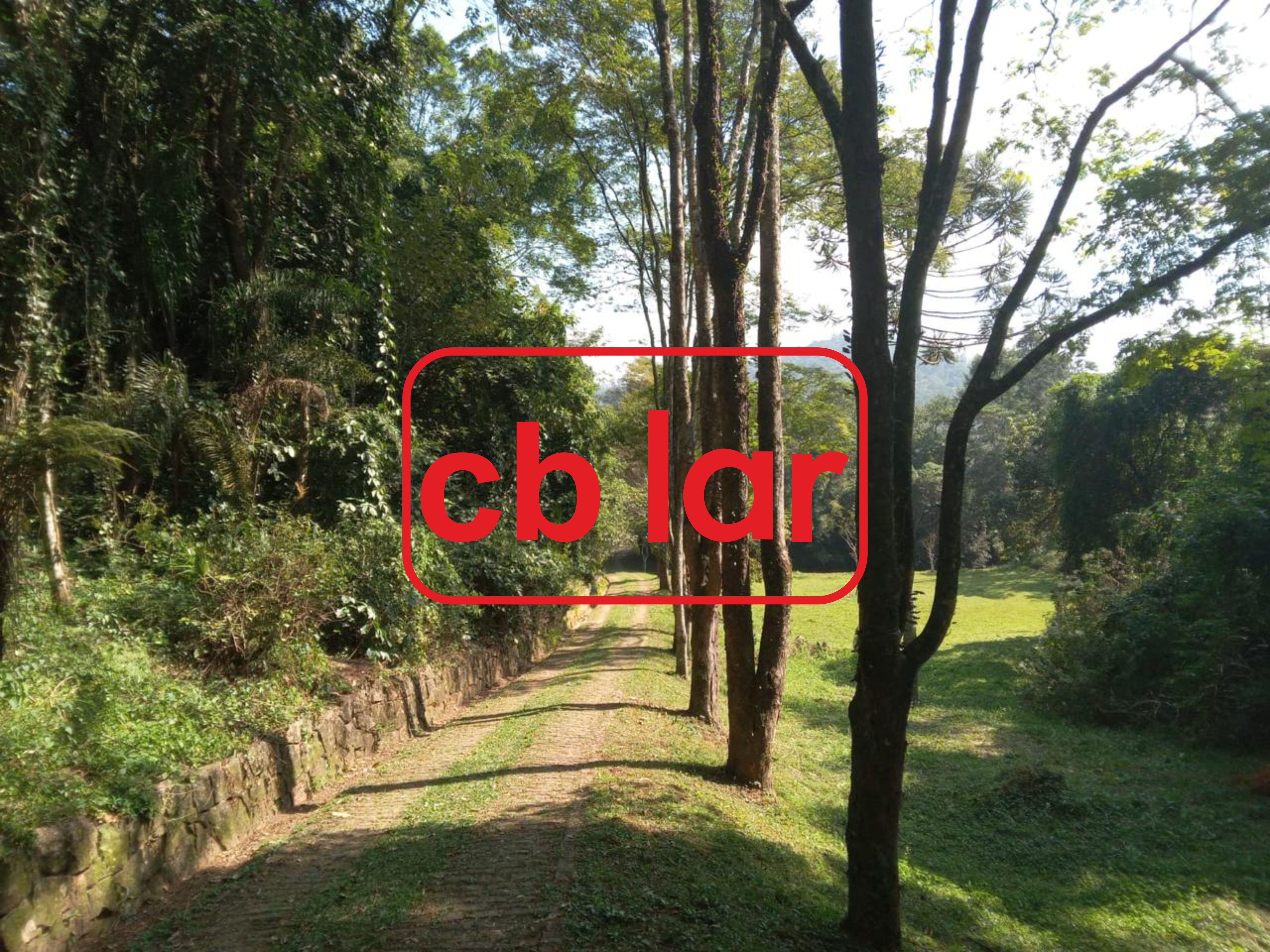 Sítio, 1 quarto, 10 hectares - Foto 9