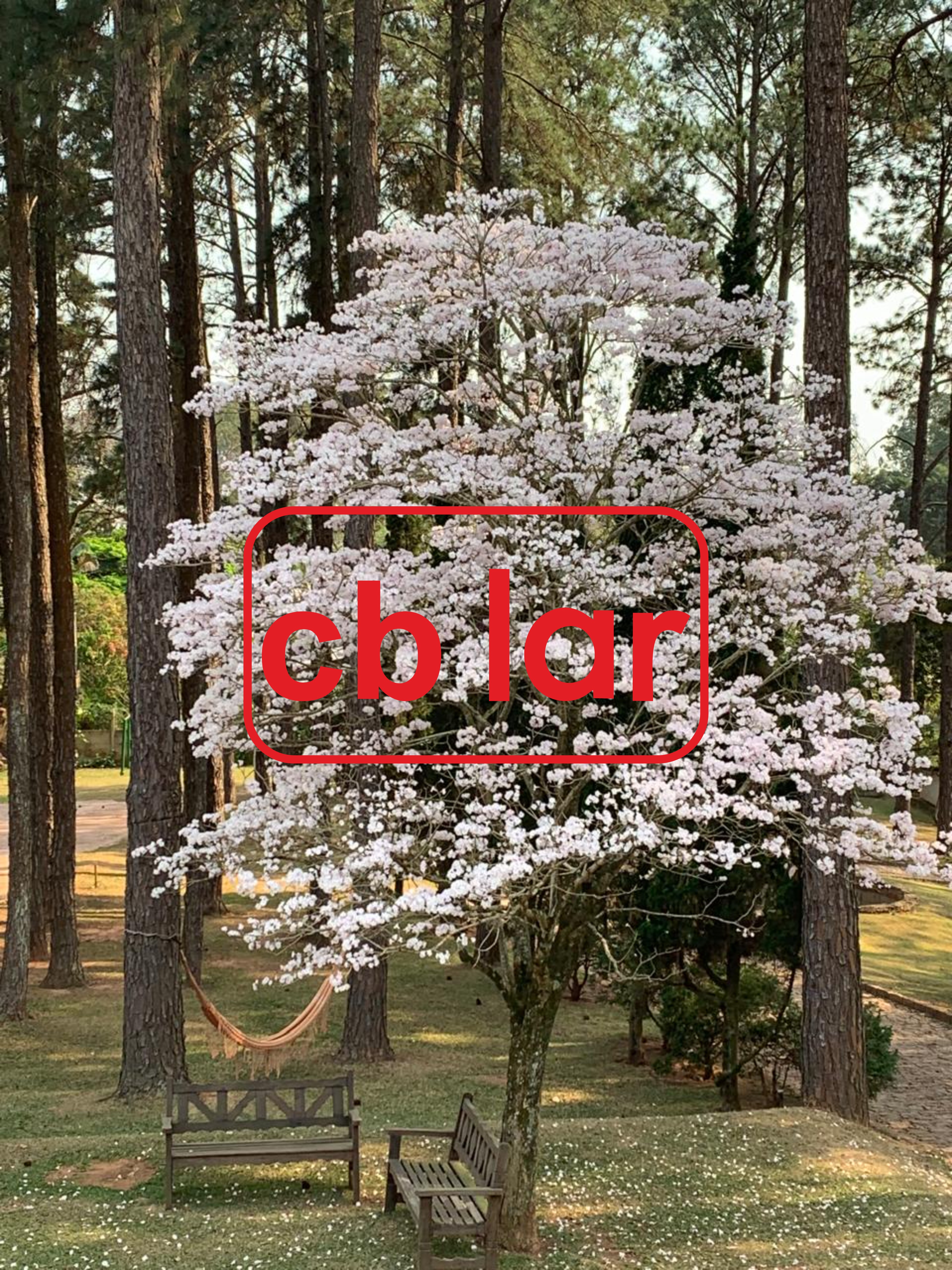 Chácara, 6 quartos, 1 hectares - Foto 39