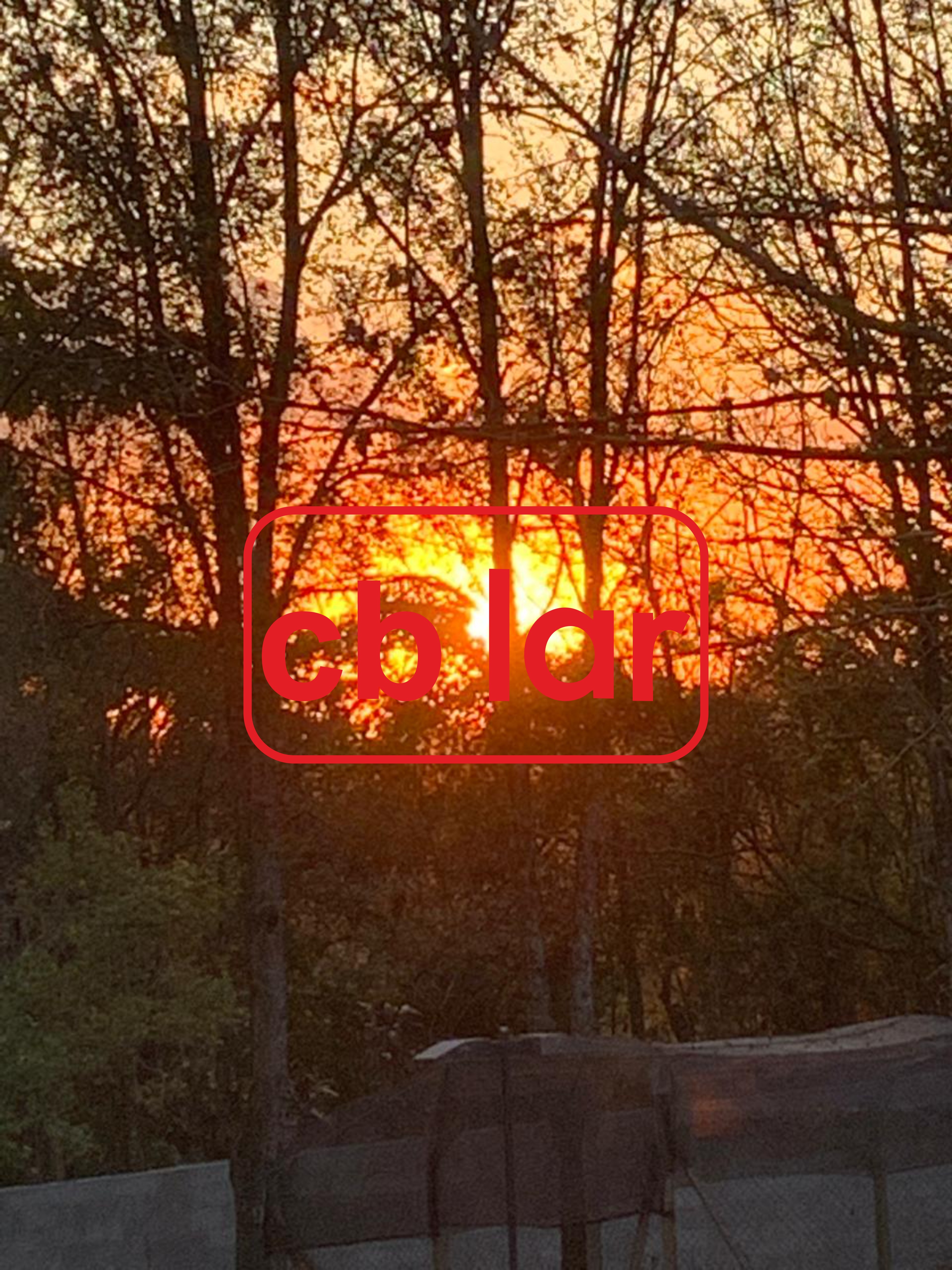 Chácara, 6 quartos, 1 hectares - Foto 48