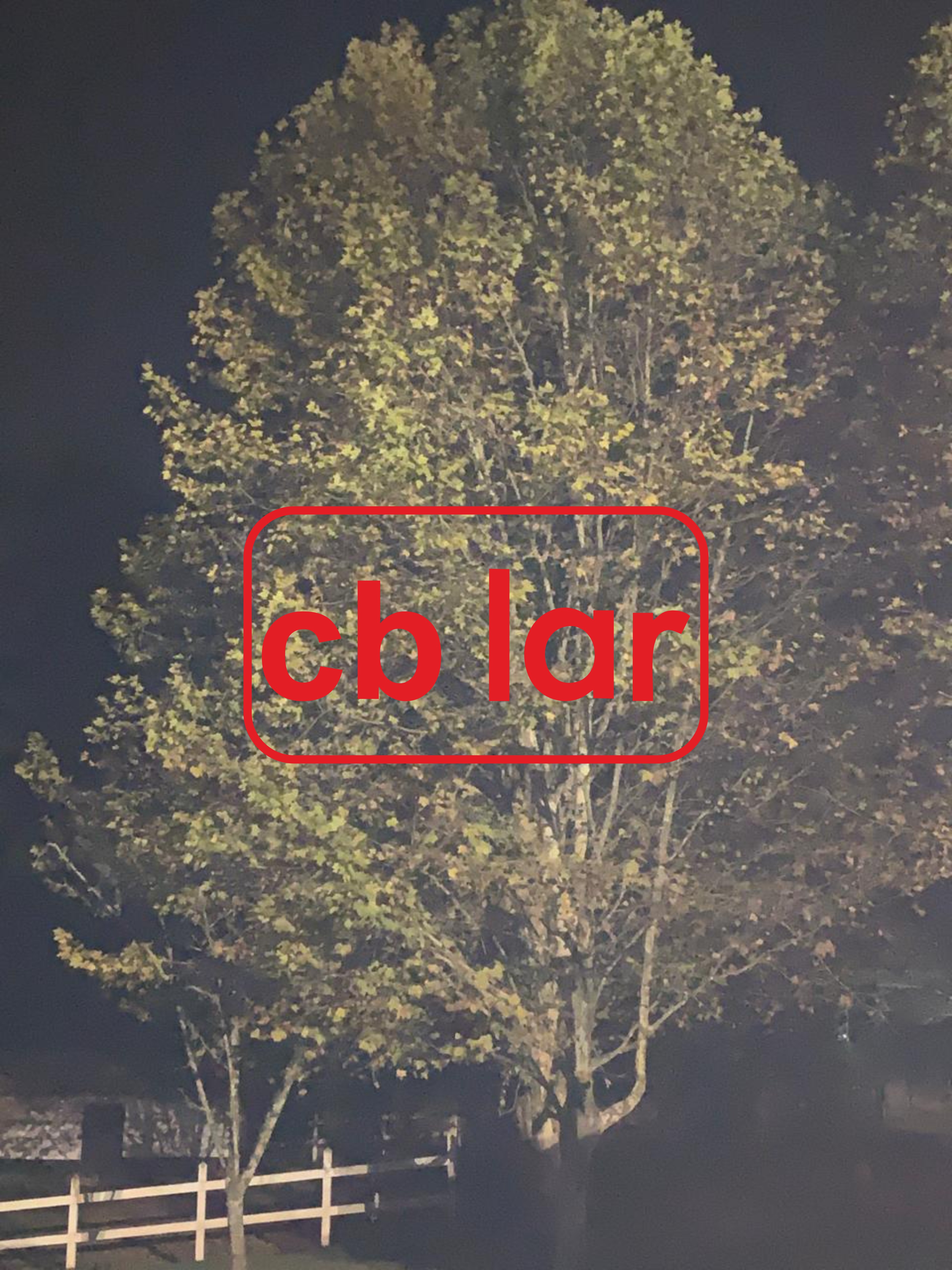 Chácara, 6 quartos, 1 hectares - Foto 24