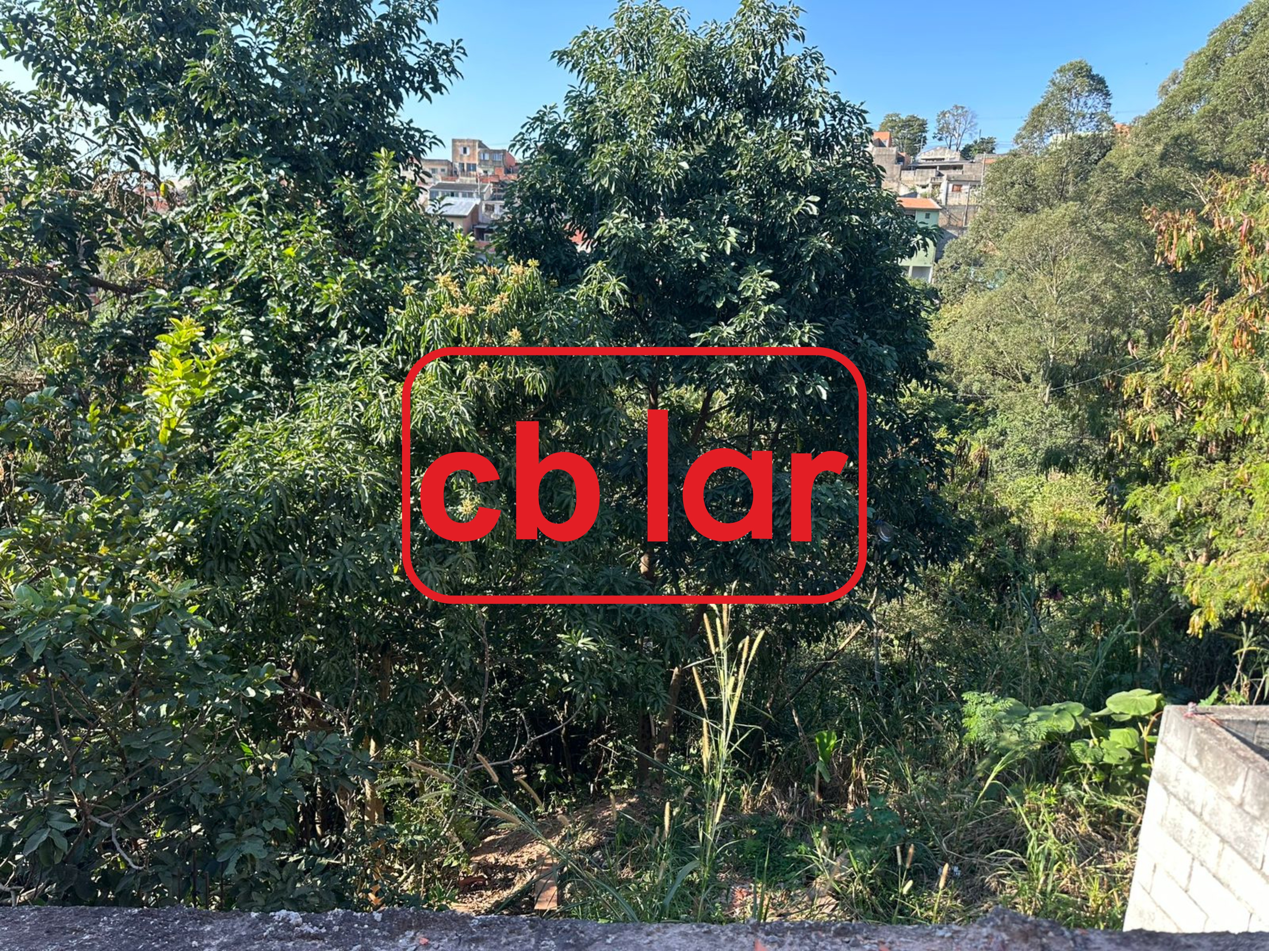 Terreno à venda, 125m² - Foto 8