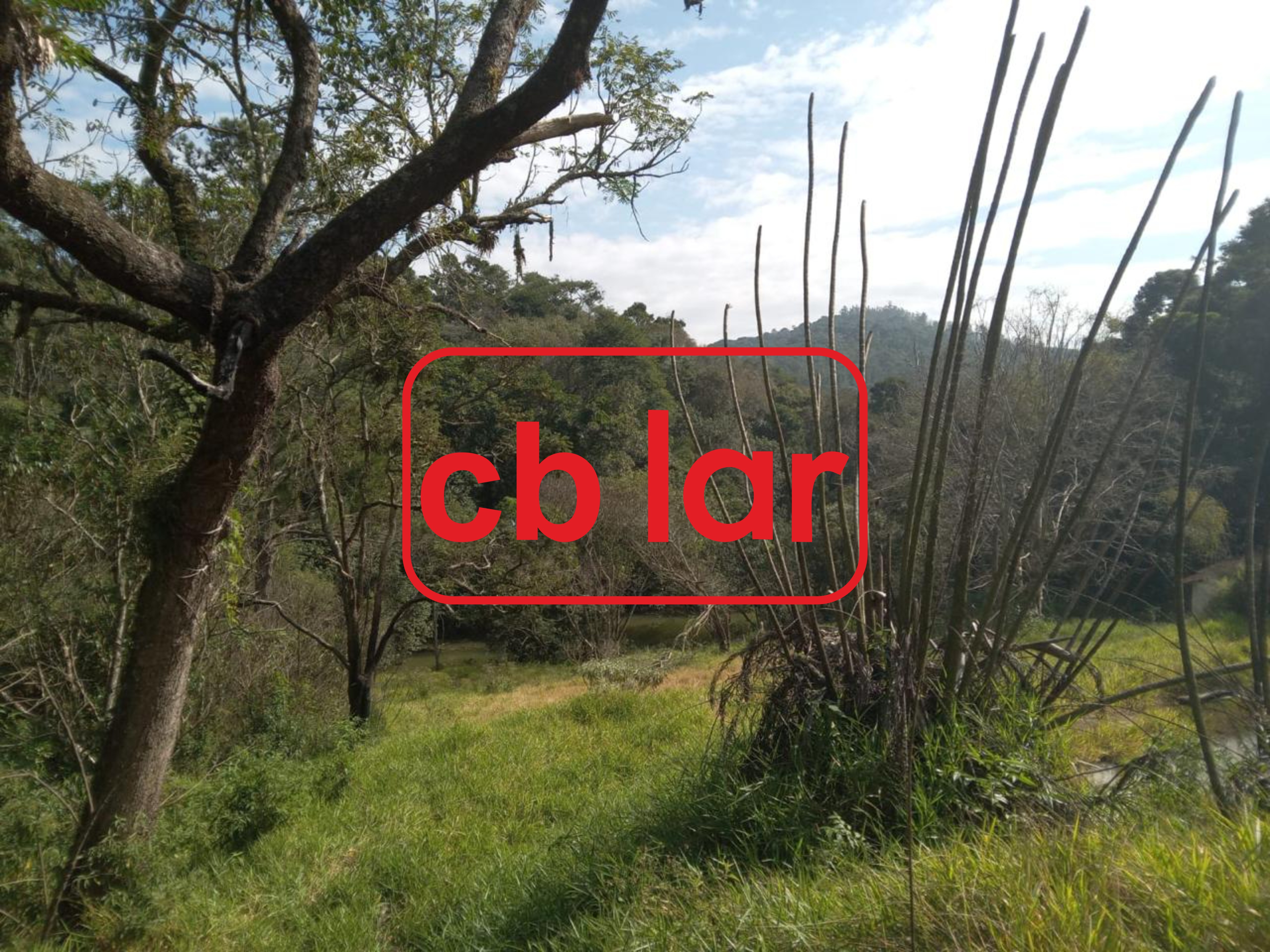 Sítio, 1 quarto, 10 hectares - Foto 31