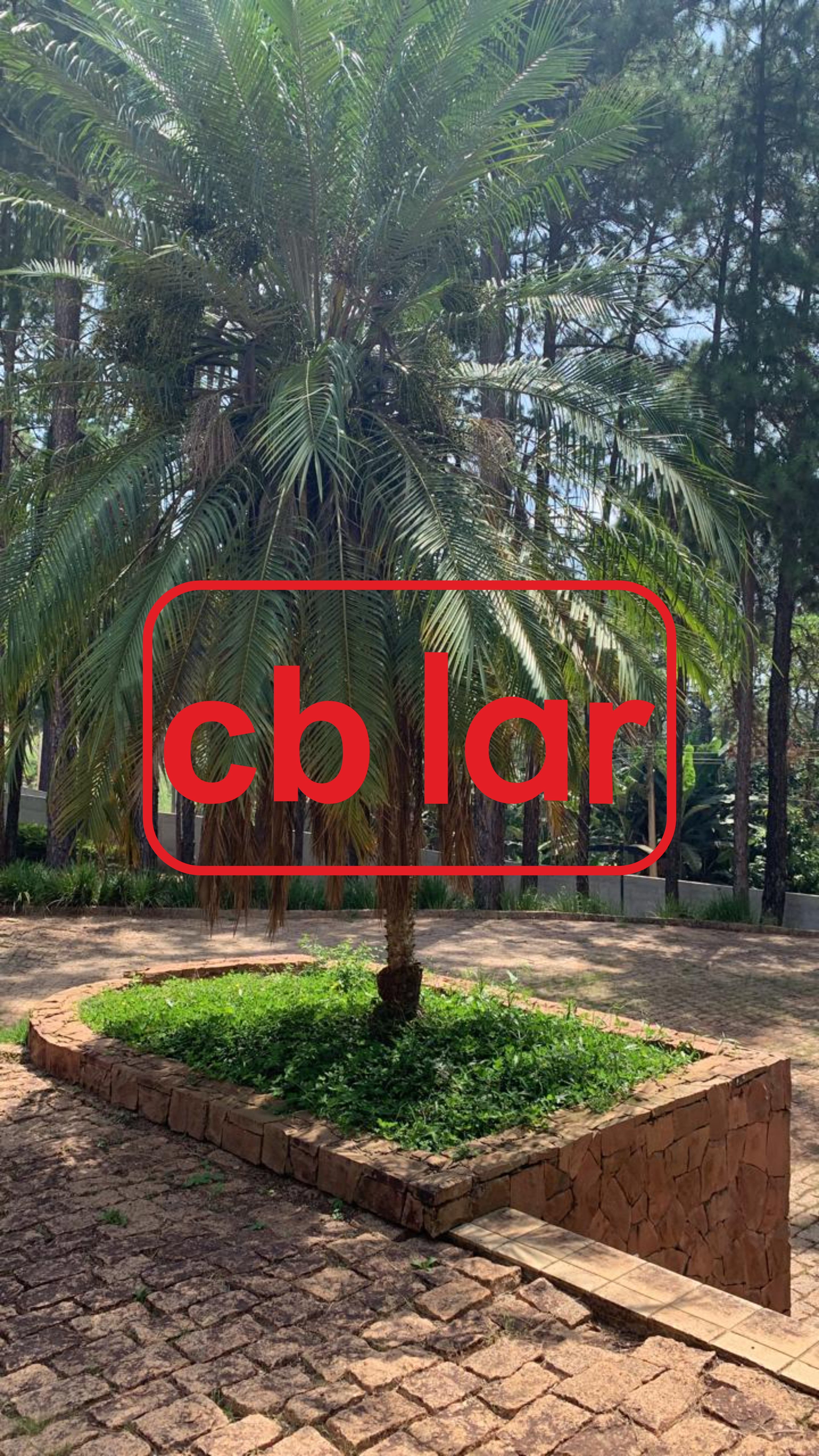 Chácara, 6 quartos, 1 hectares - Foto 44