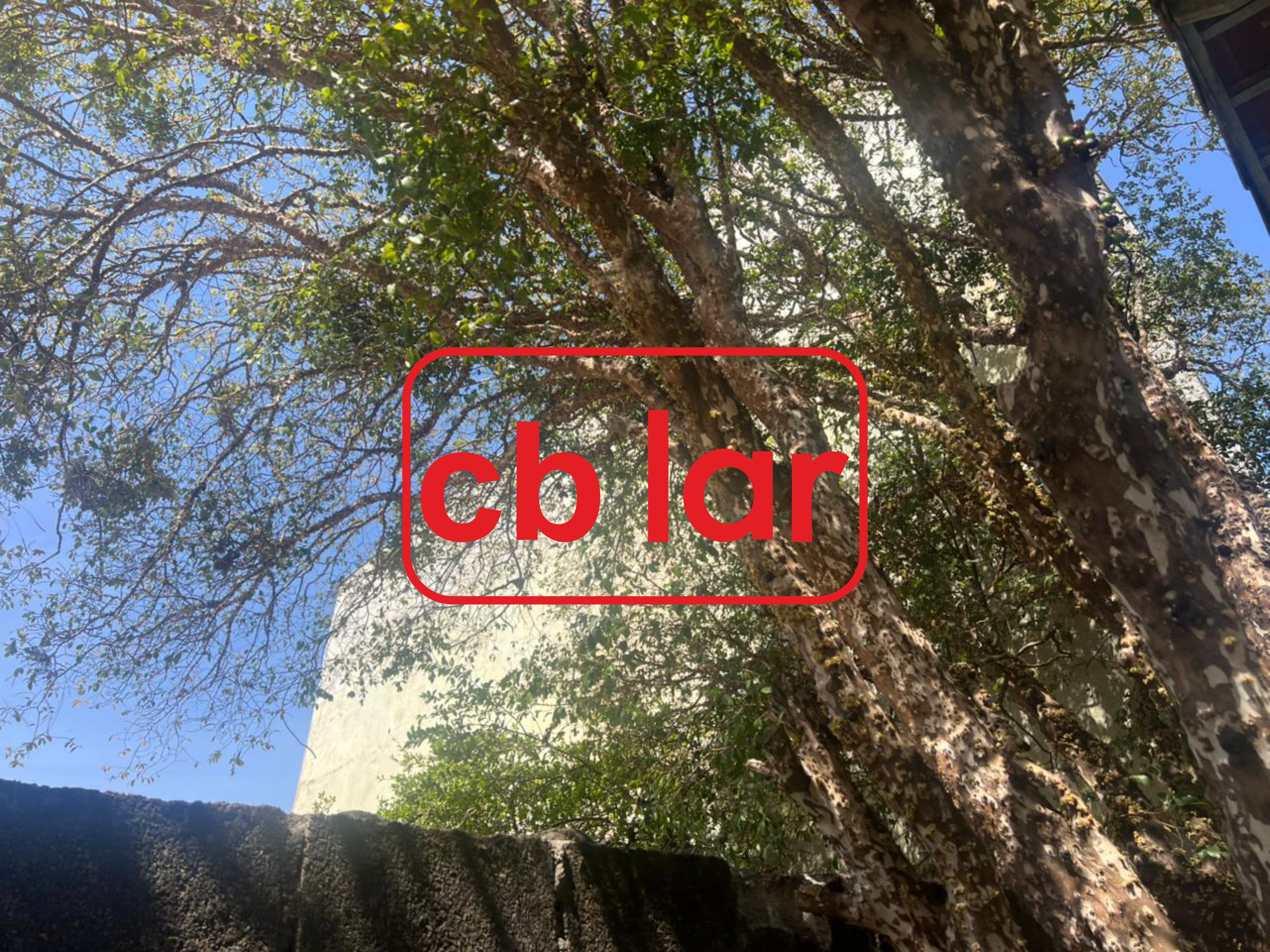 Casa, 2 quartos - Foto 11