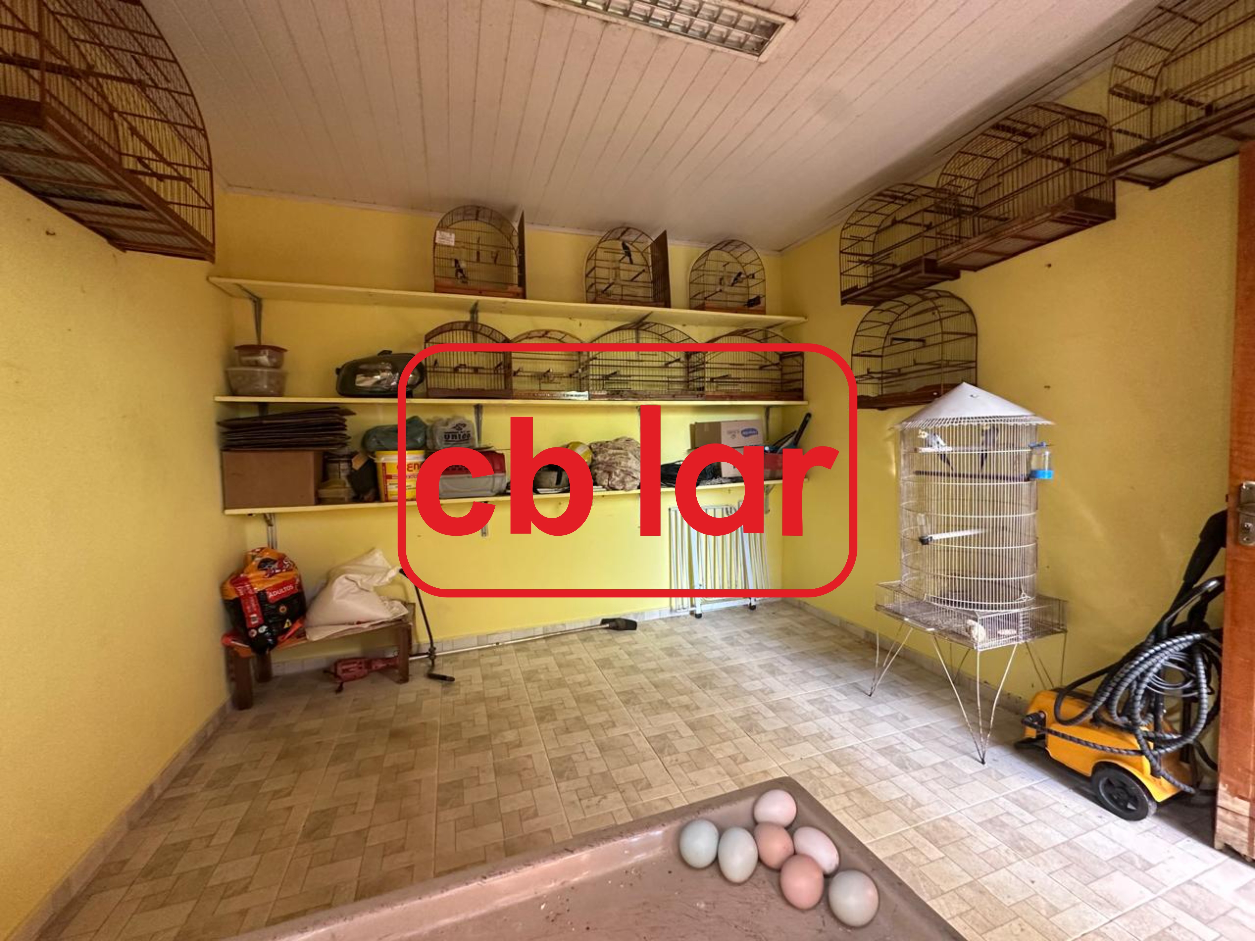 Chácara à venda com 3 quartos, 1000m² - Foto 18