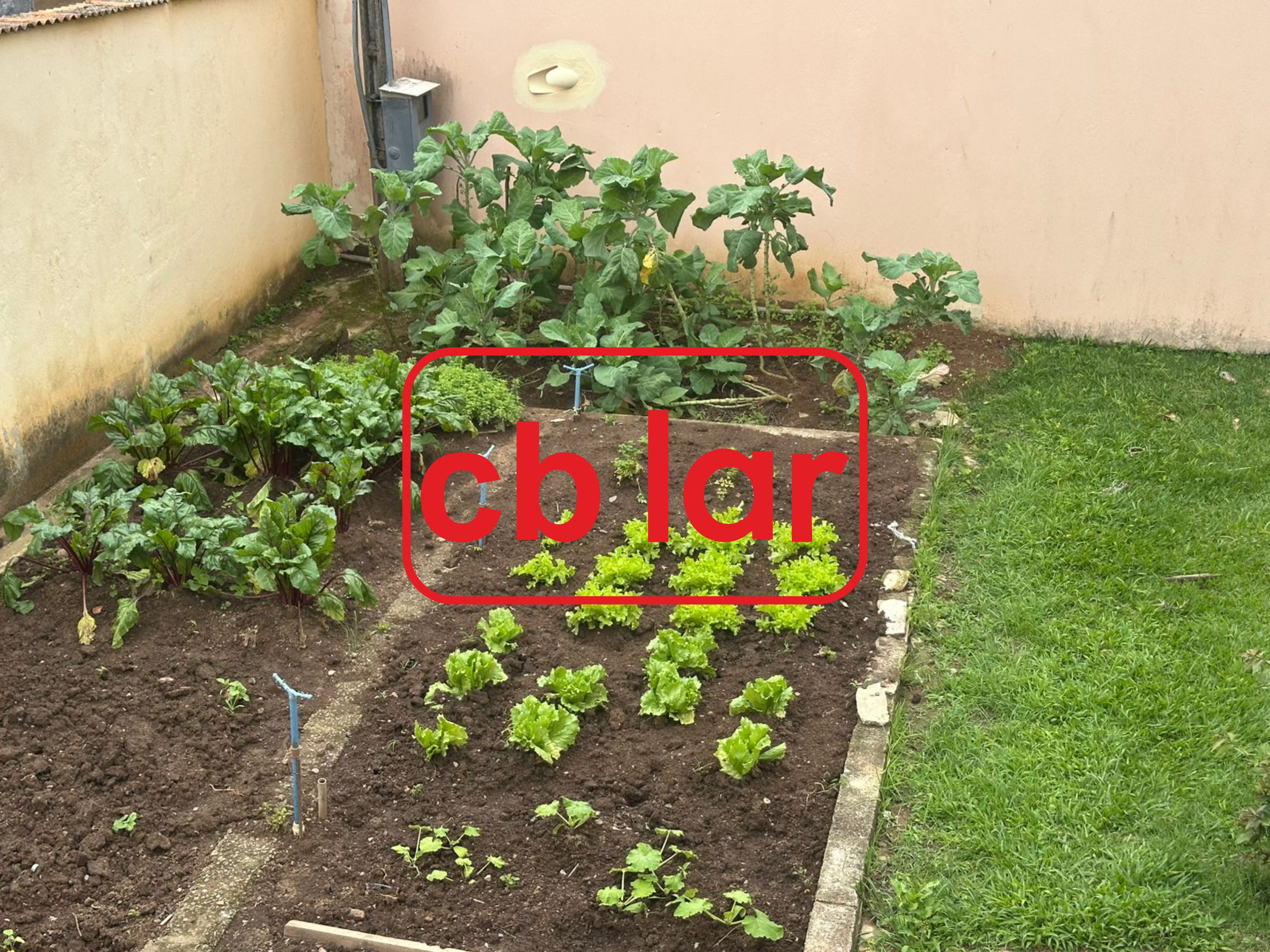 Chácara, 2 quartos, 1075 m² - Foto 14