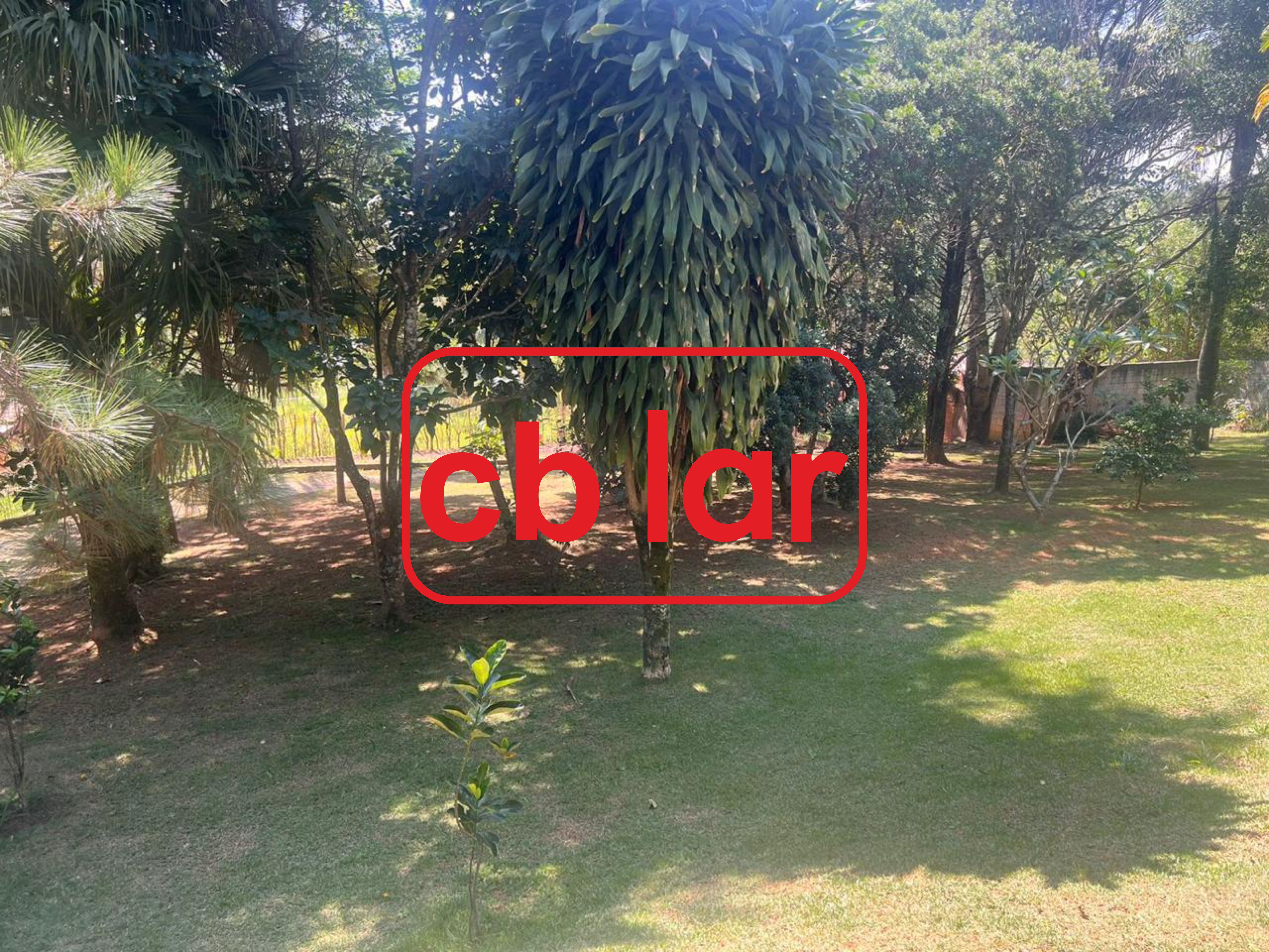 Chácara, 2 quartos, 2065 m² - Foto 10