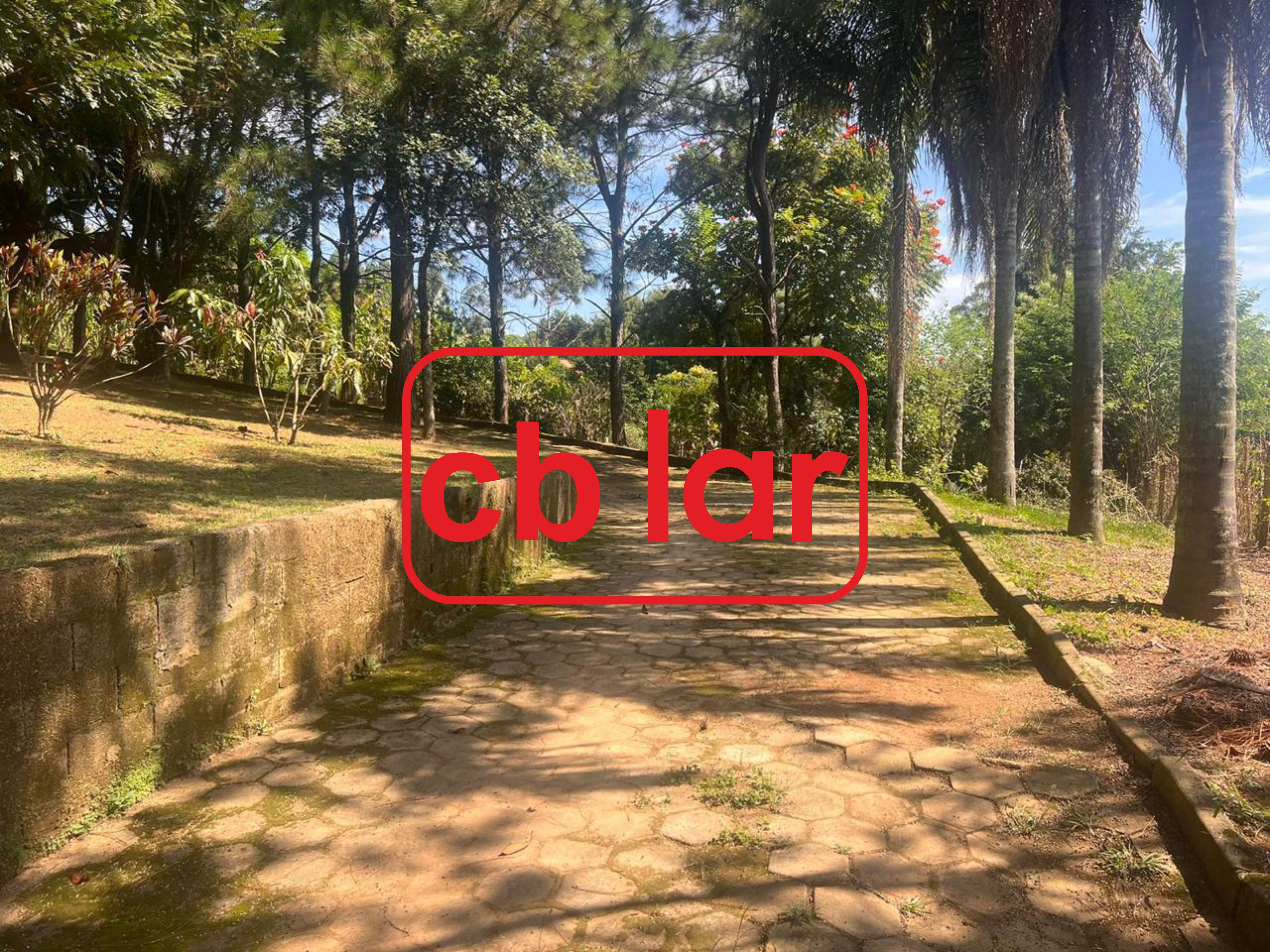 Chácara, 2 quartos, 2065 m² - Foto 14