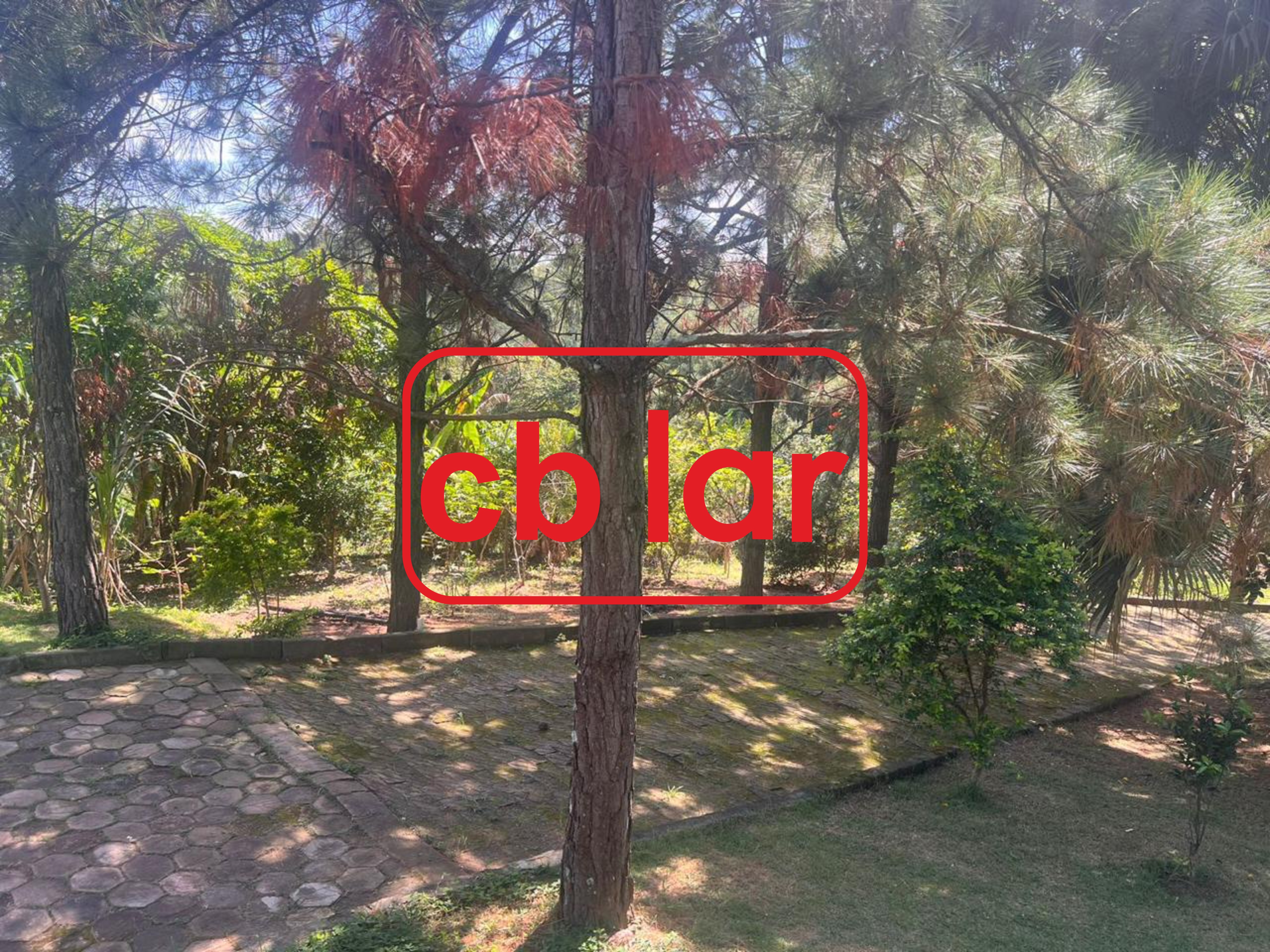 Chácara, 2 quartos, 2065 m² - Foto 11