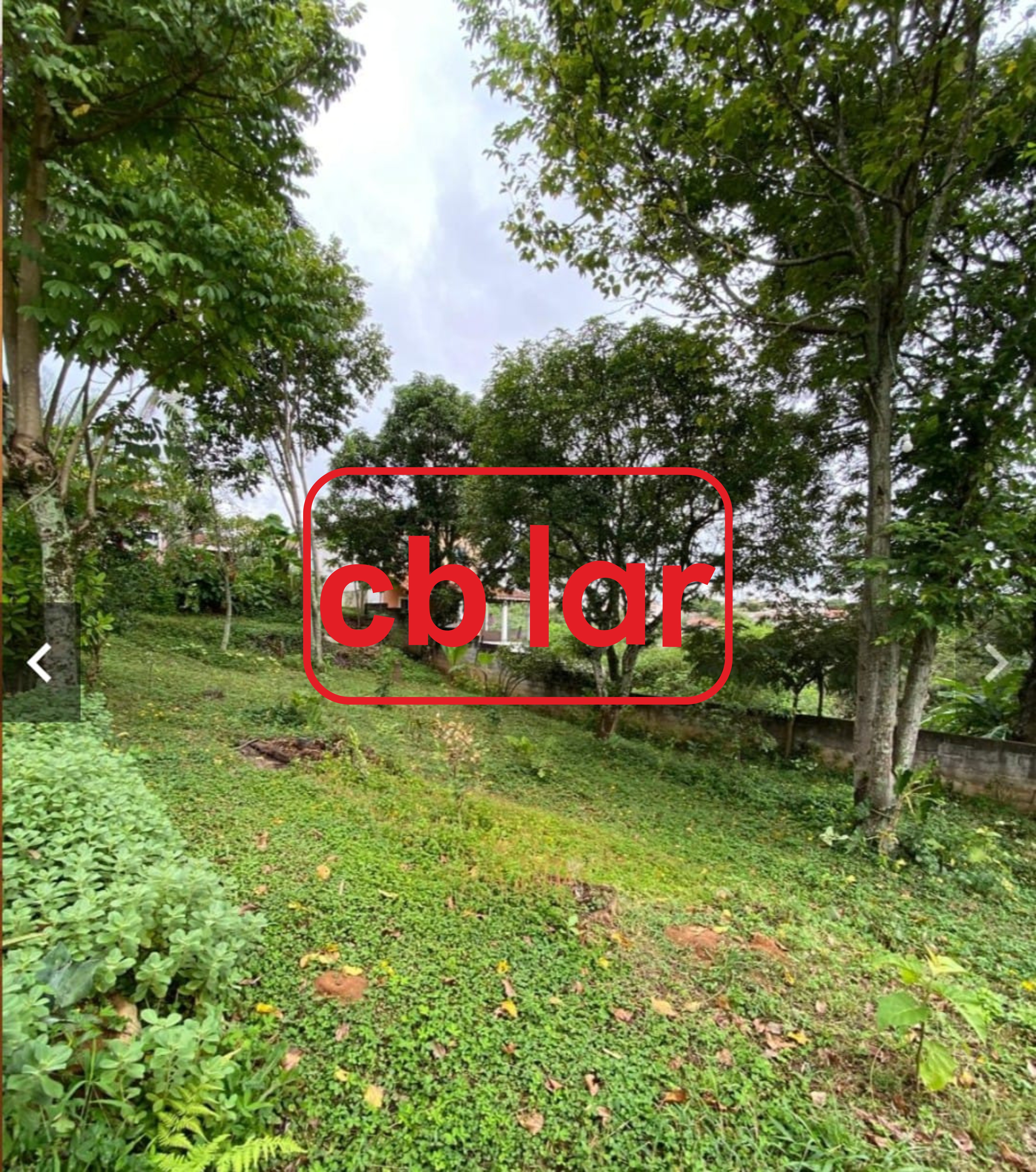 Casa, 3 quartos - Foto 15