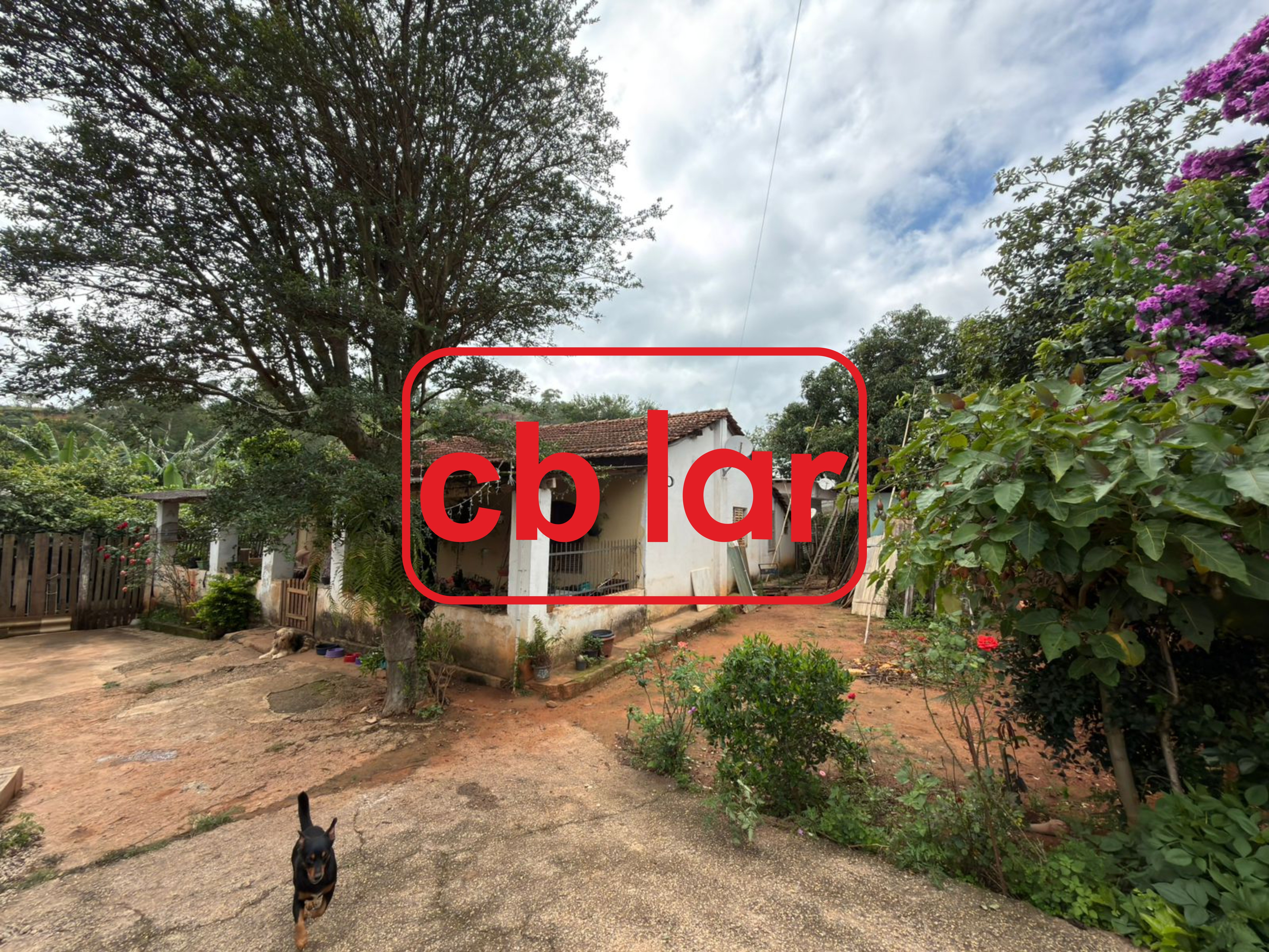 Chácara, 3 quartos, 561 m² - Foto 1