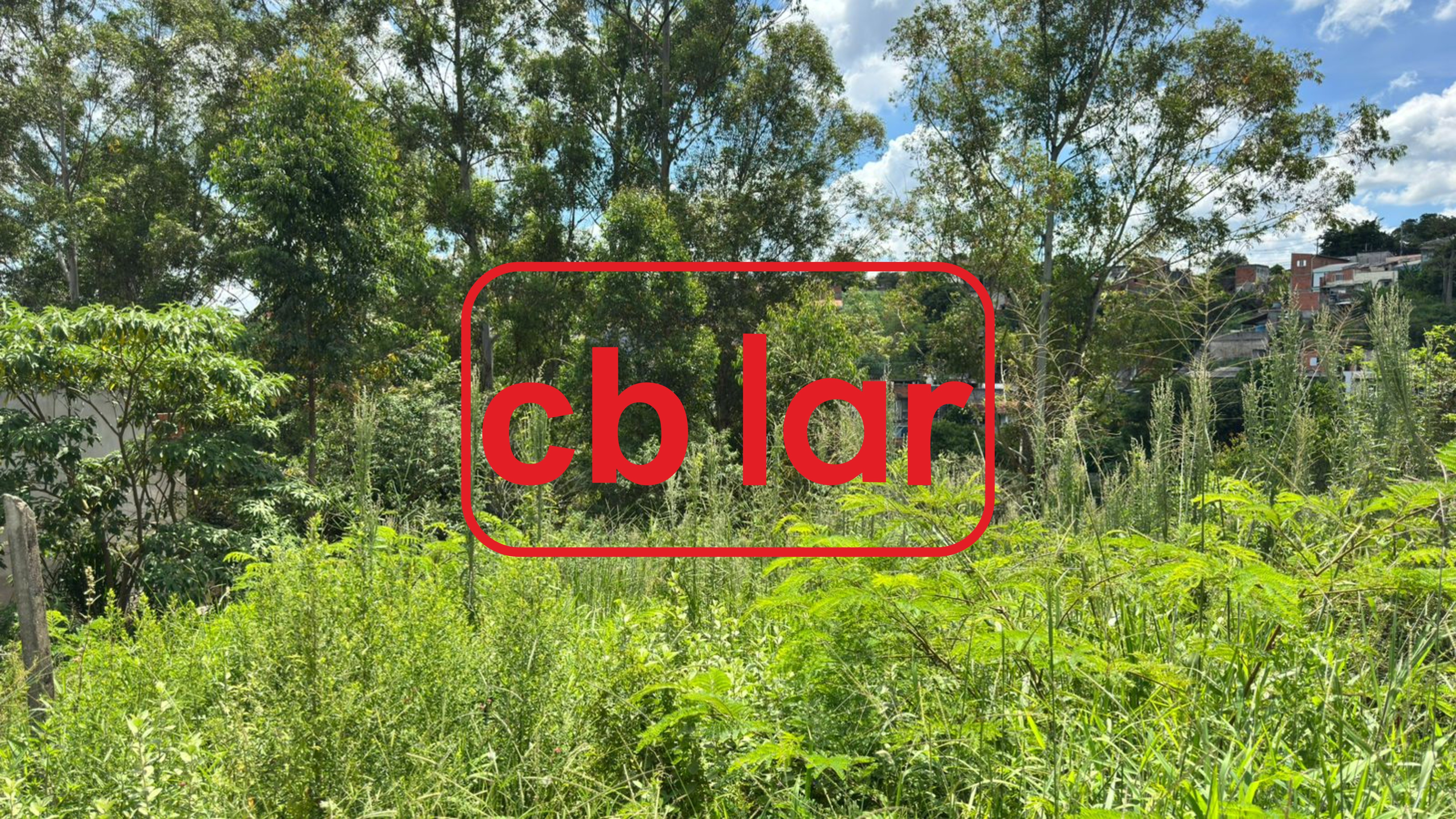 Terreno, 250 m² - Foto 3