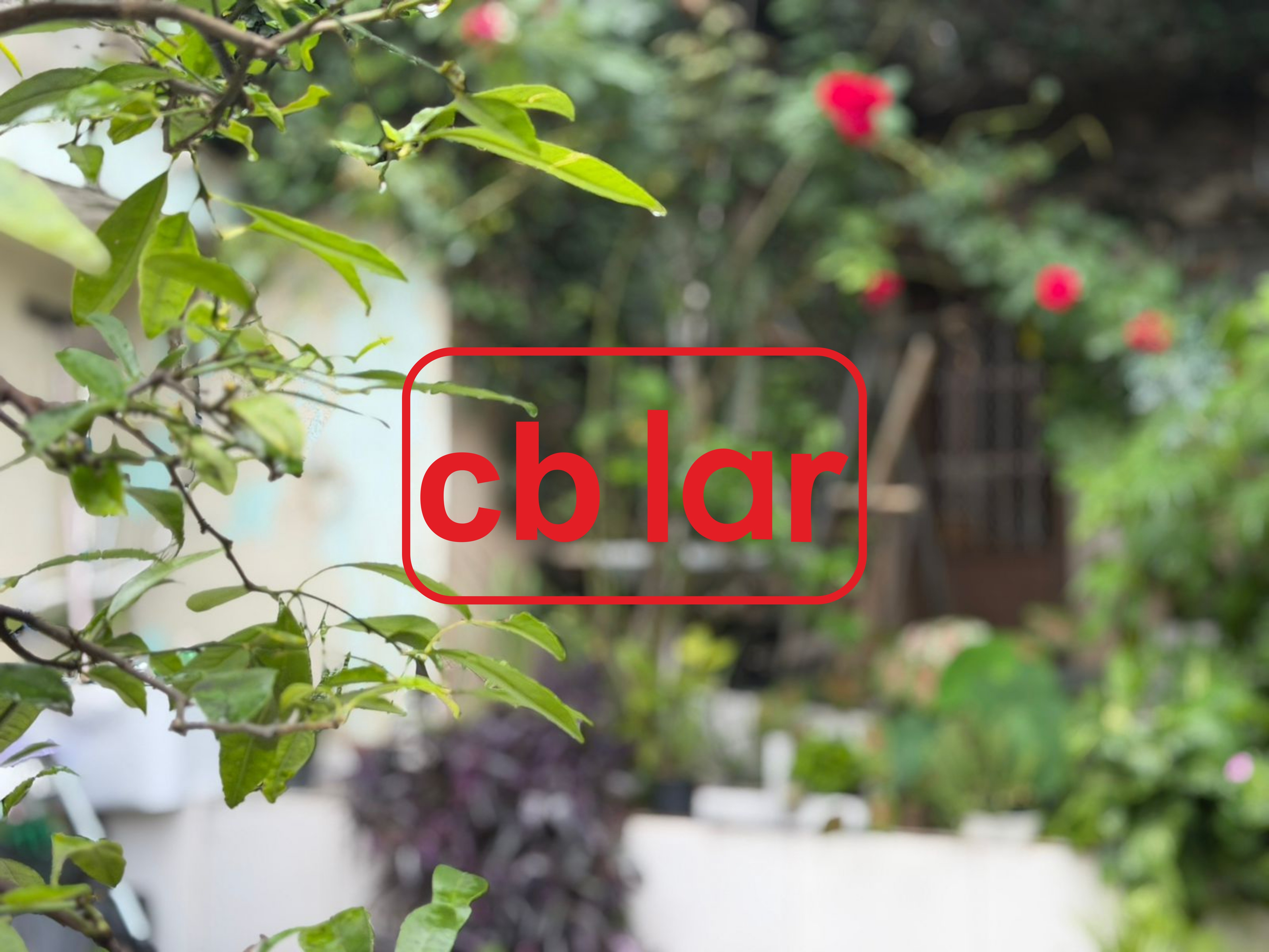 Casa, 4 quartos - Foto 9