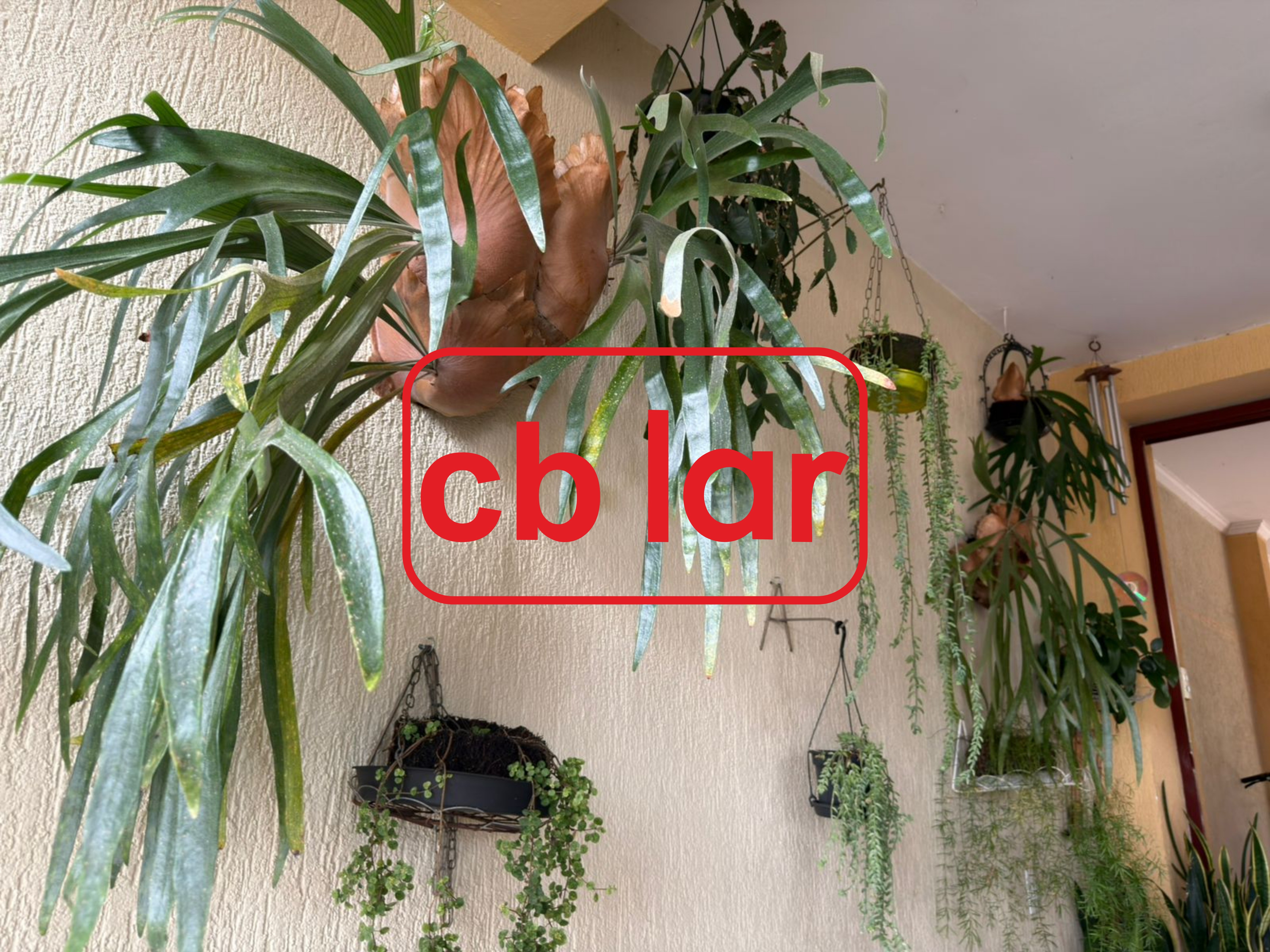 Casa, 4 quartos - Foto 2