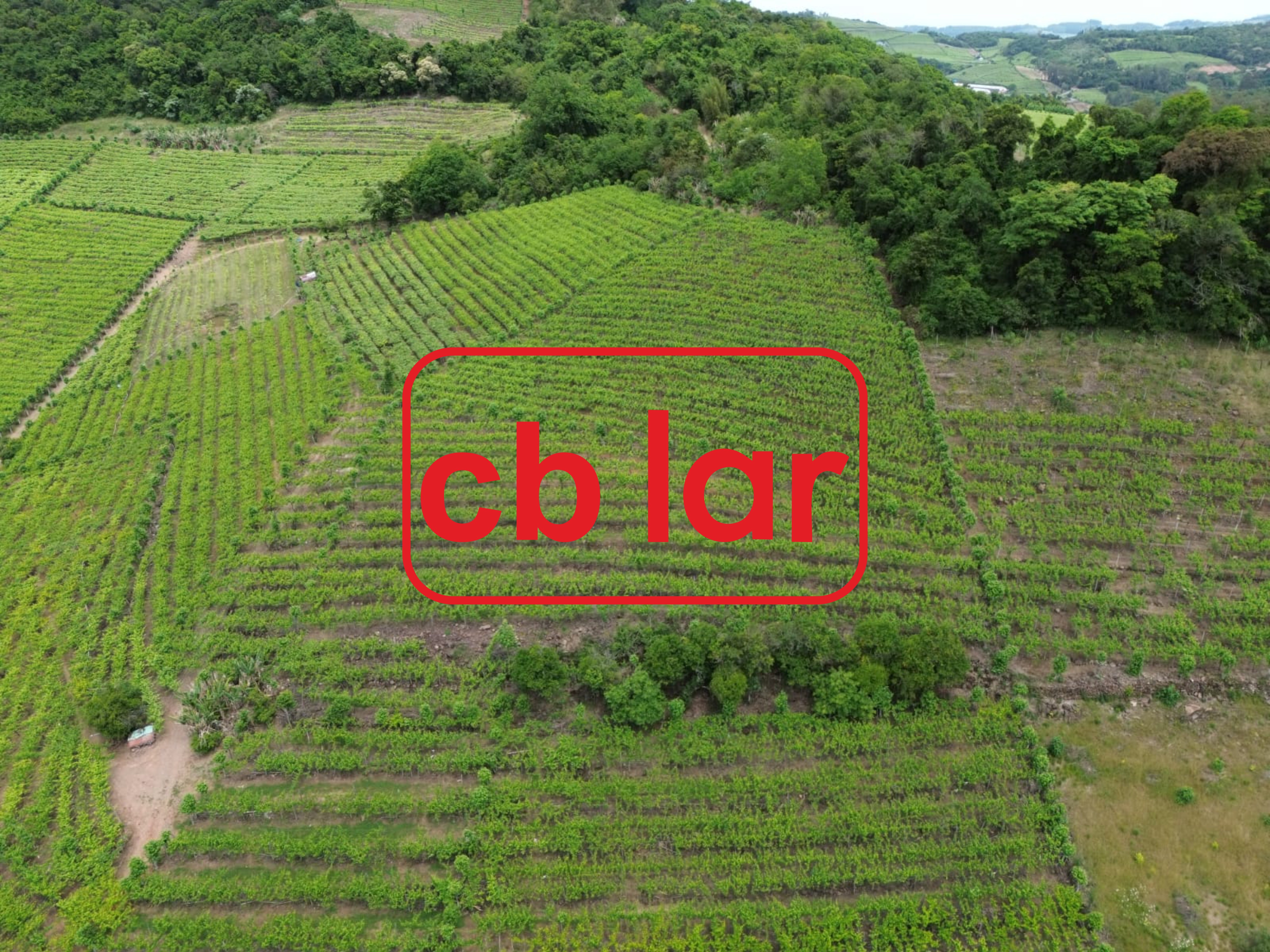 Terreno, 90000 m² - Foto 33