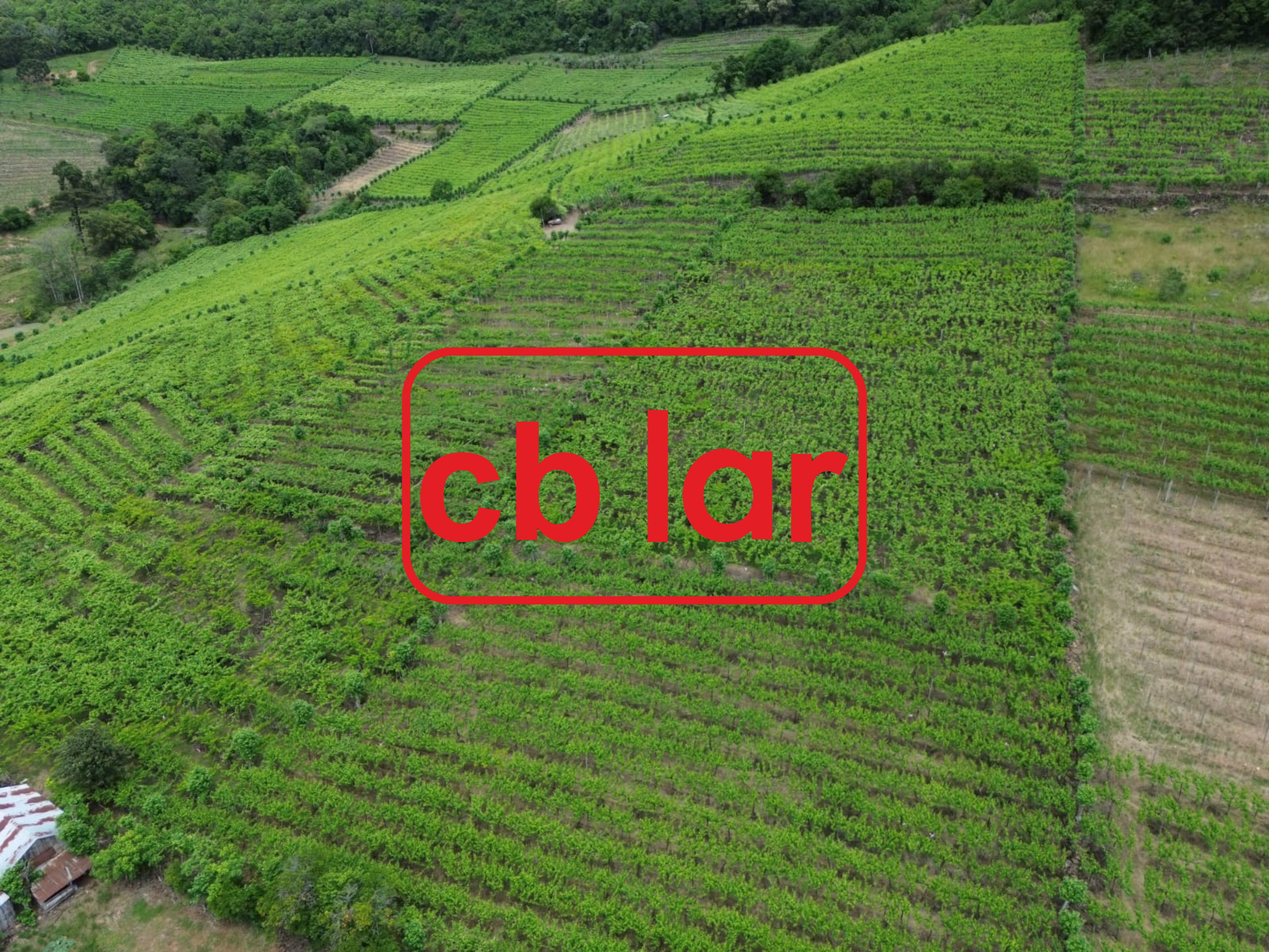 Terreno, 90000 m² - Foto 27