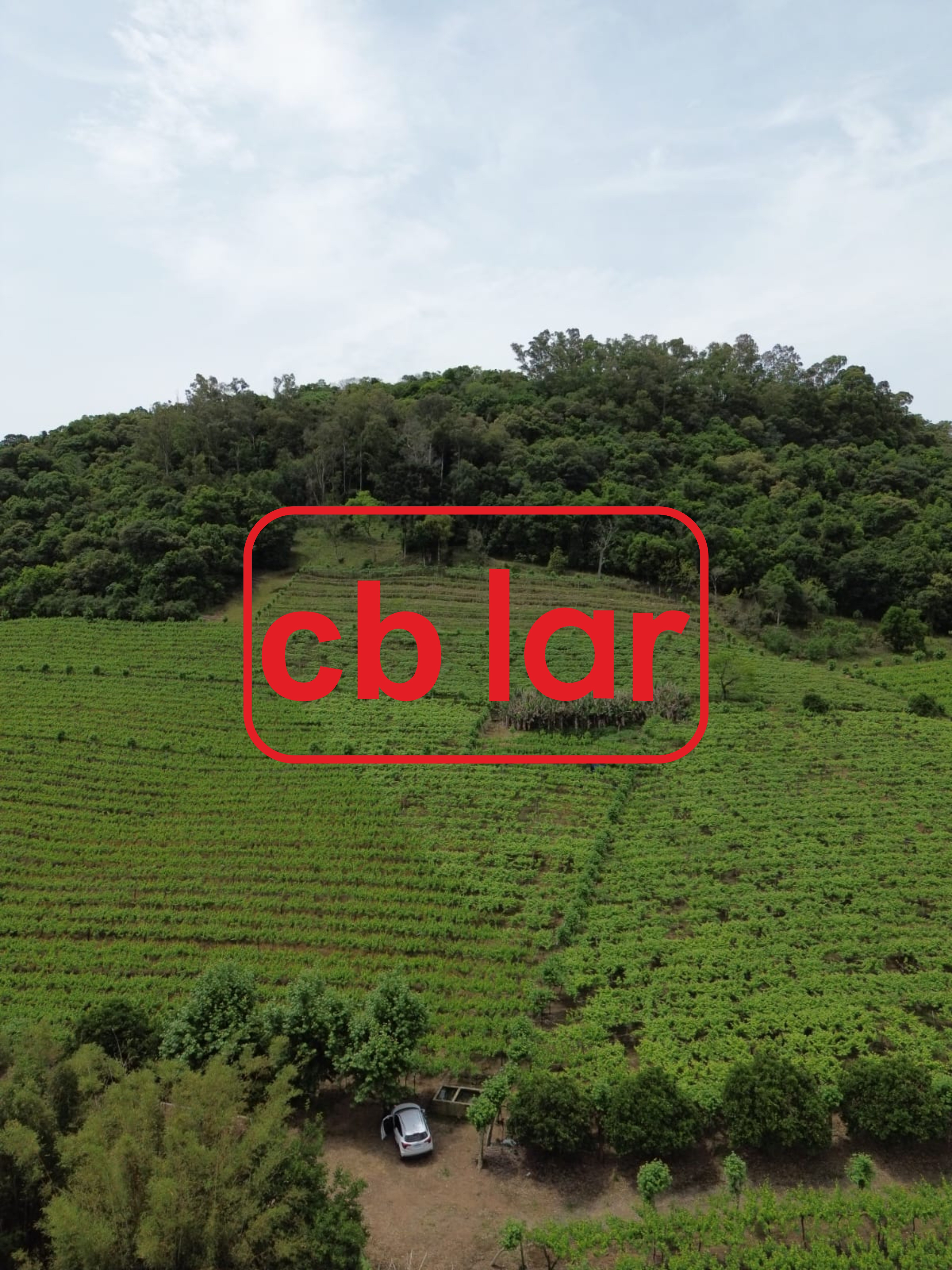 Terreno, 90000 m² - Foto 6