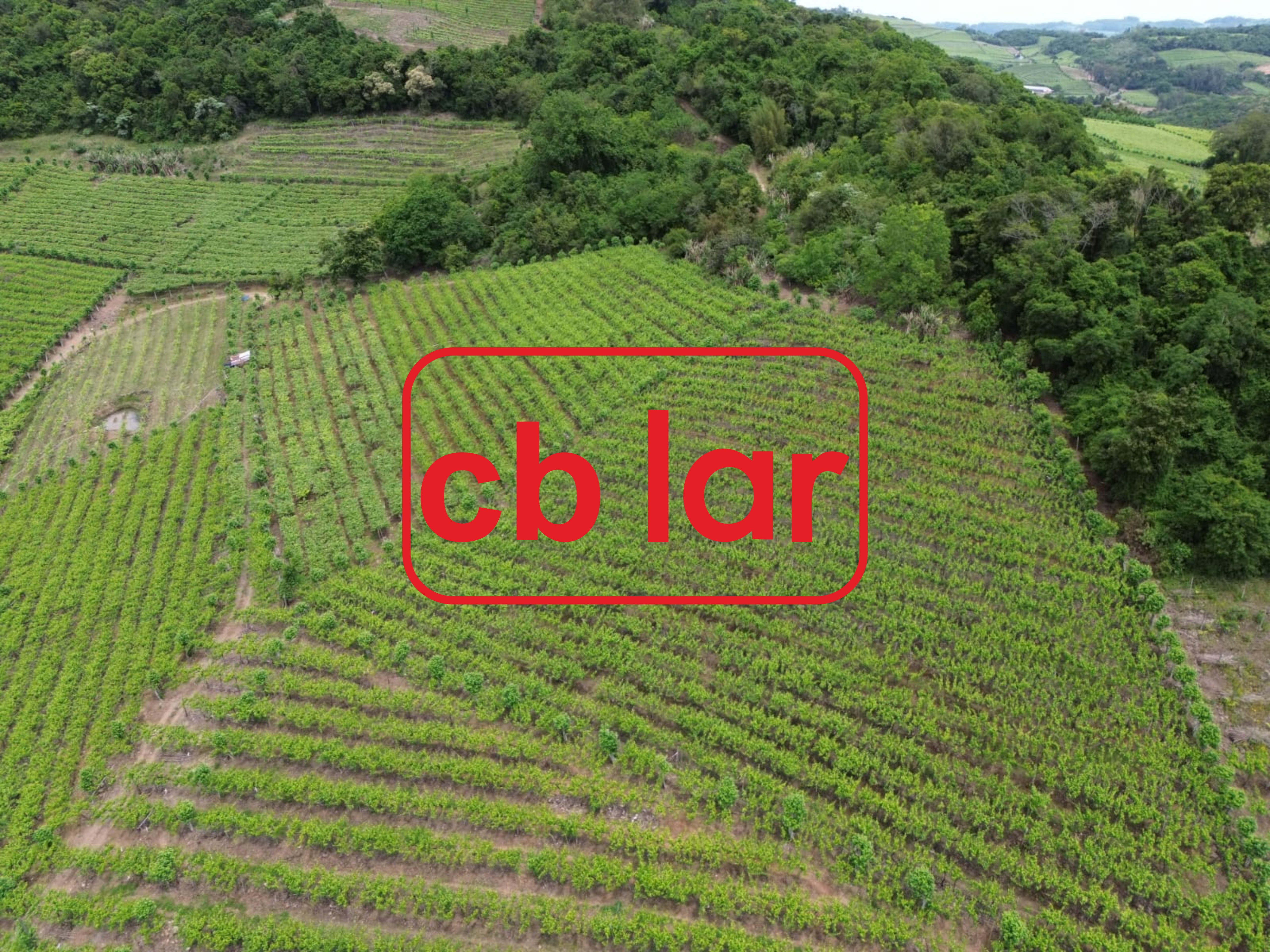 Terreno, 90000 m² - Foto 8