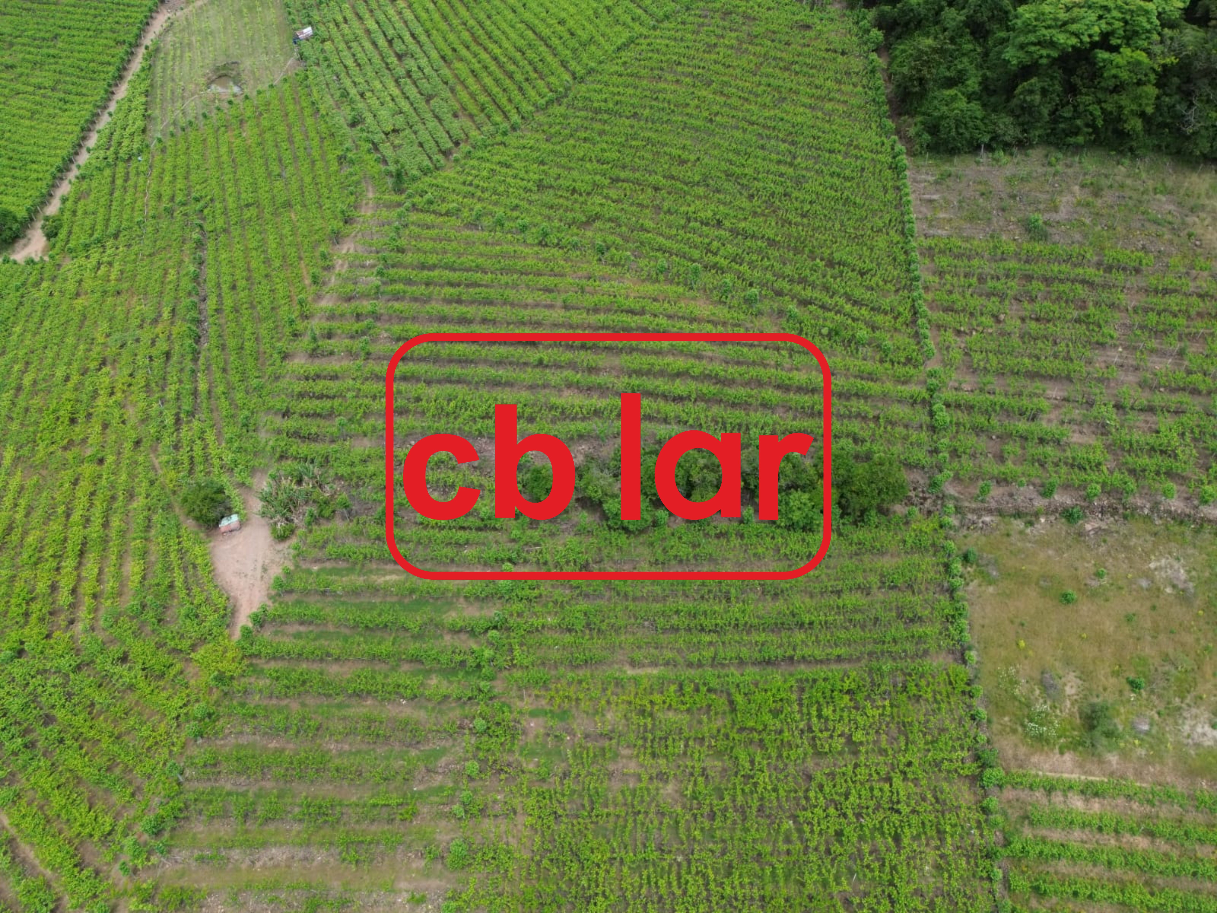 Terreno, 90000 m² - Foto 23