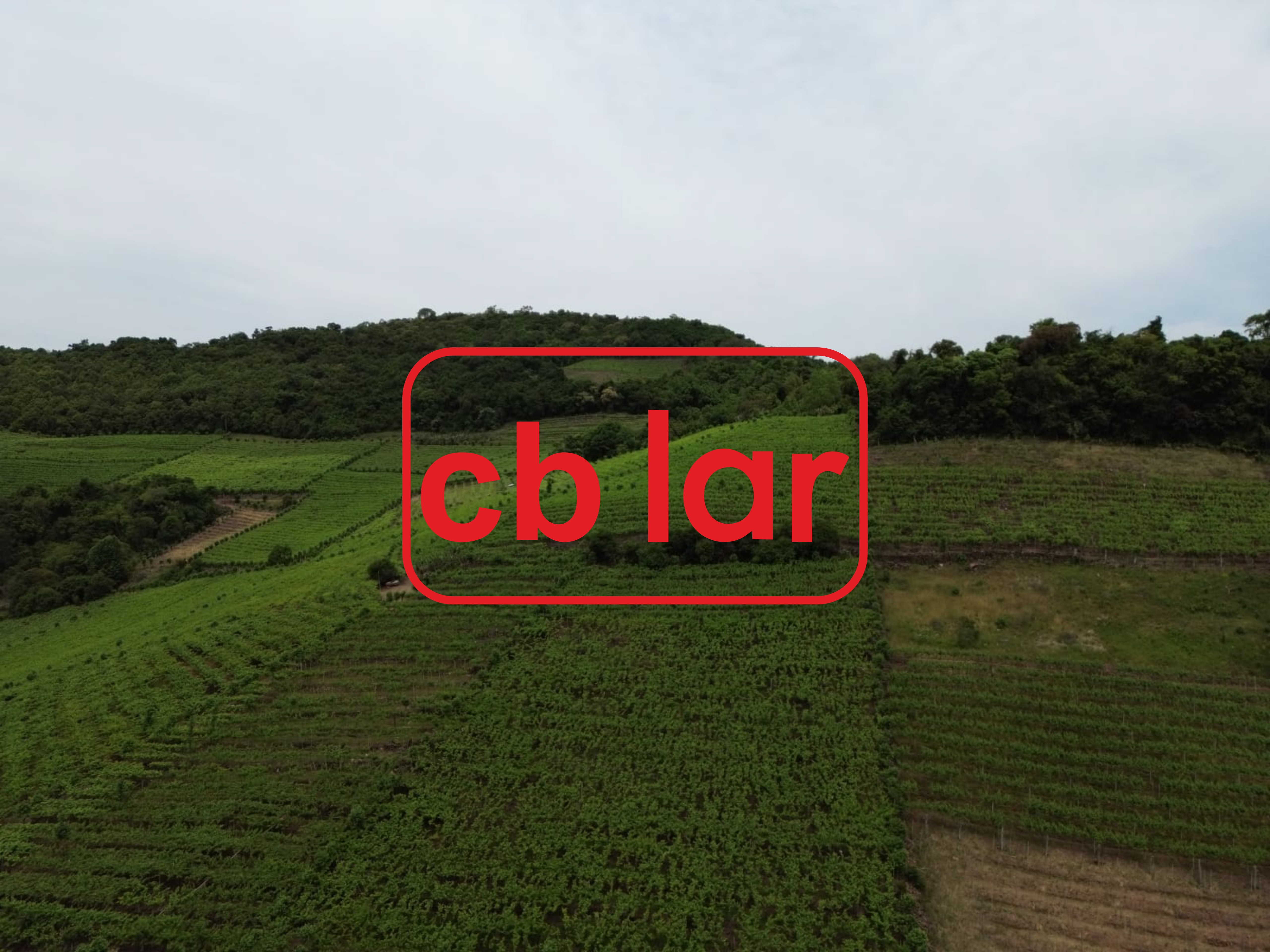 Terreno, 90000 m² - Foto 9