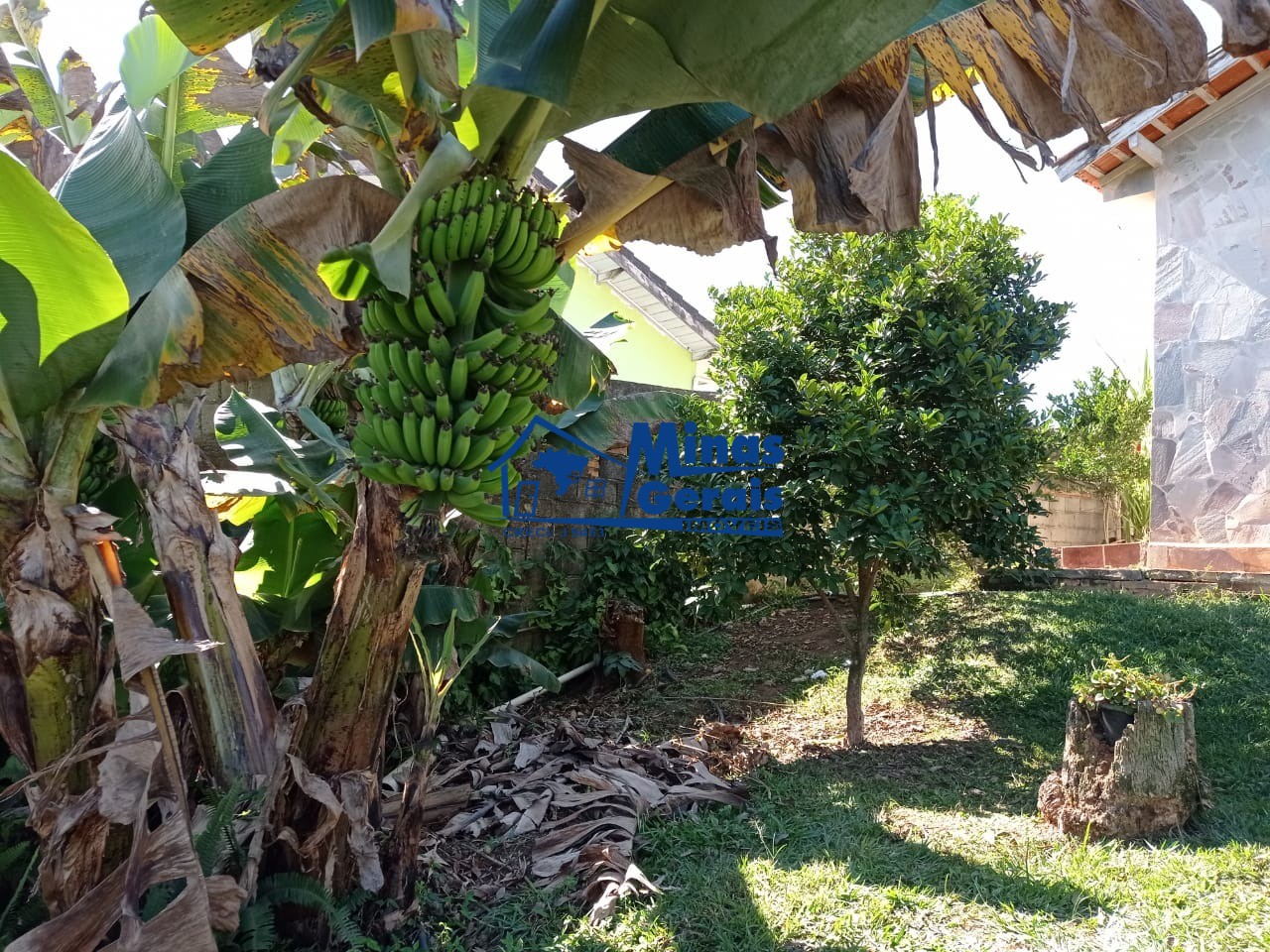 Fazenda à venda com 3 quartos, 1700m² - Foto 10