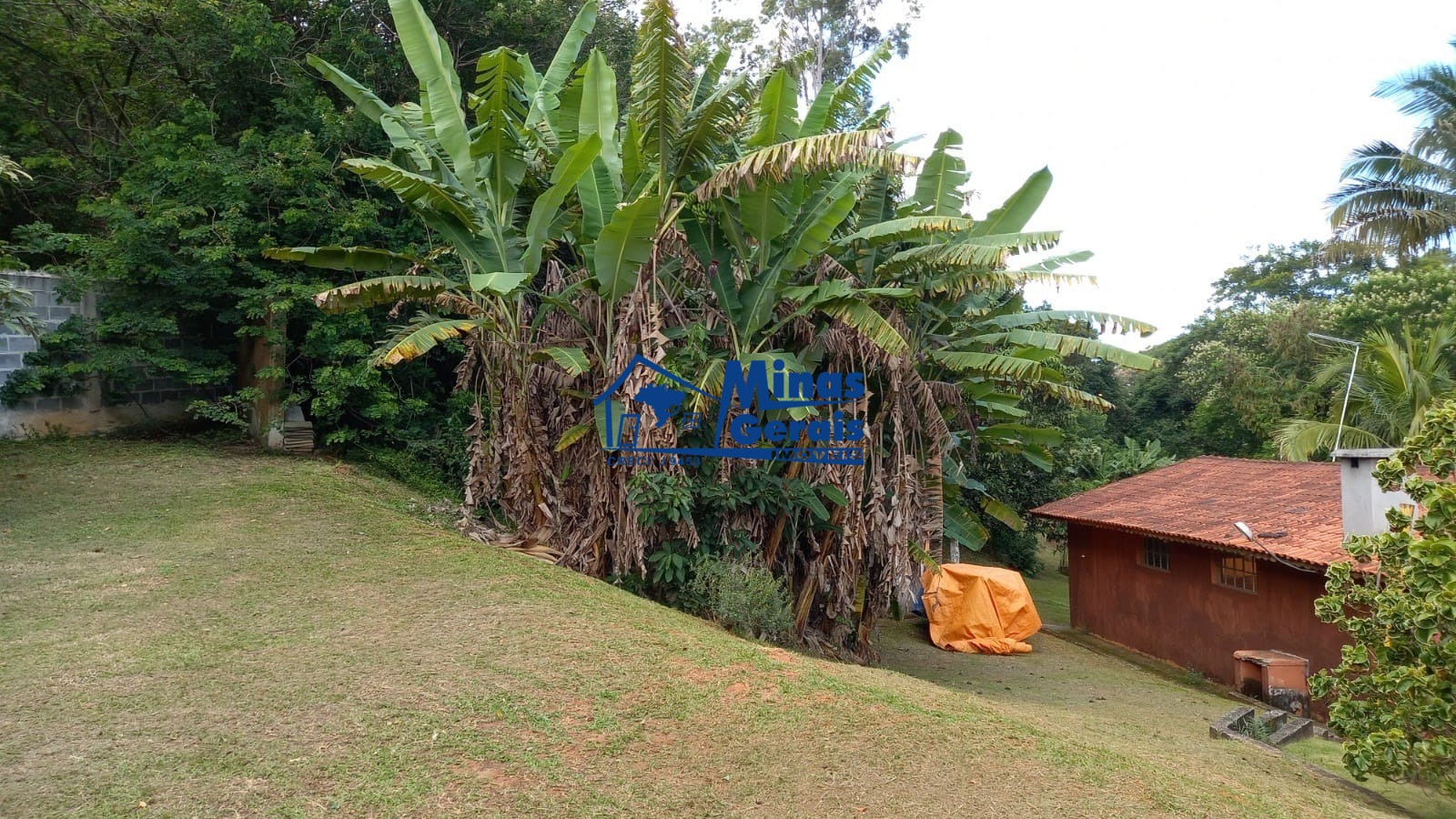 Fazenda à venda com 4 quartos, 3030m² - Foto 15