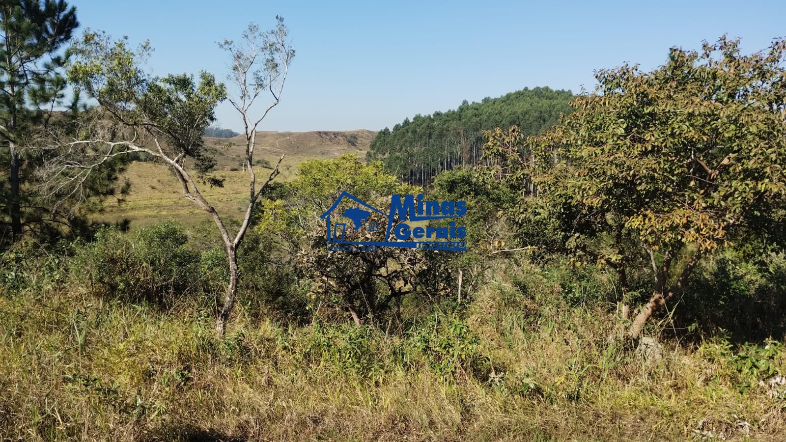 Terreno à venda, 39566m² - Foto 2