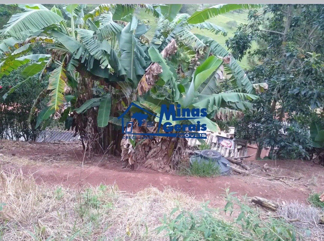 Fazenda à venda com 1 quarto, 500m² - Foto 3