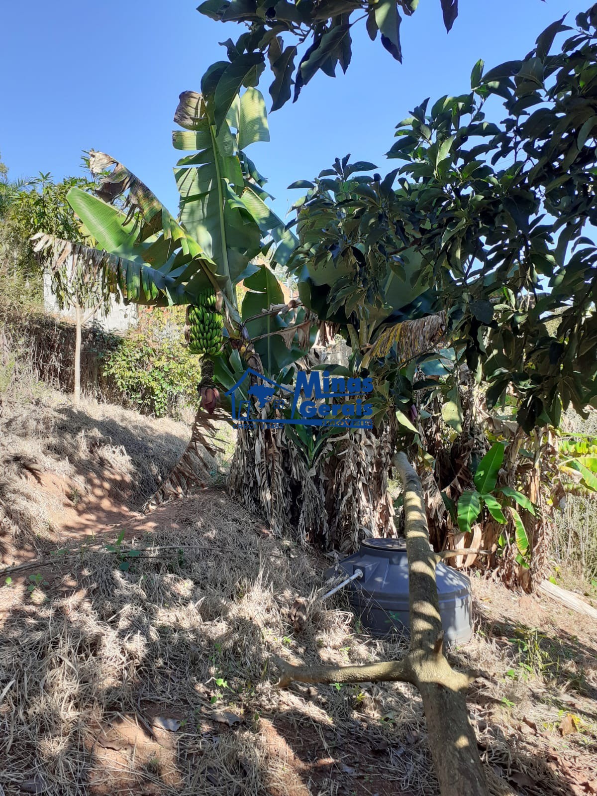 Fazenda à venda com 1 quarto, 500m² - Foto 2