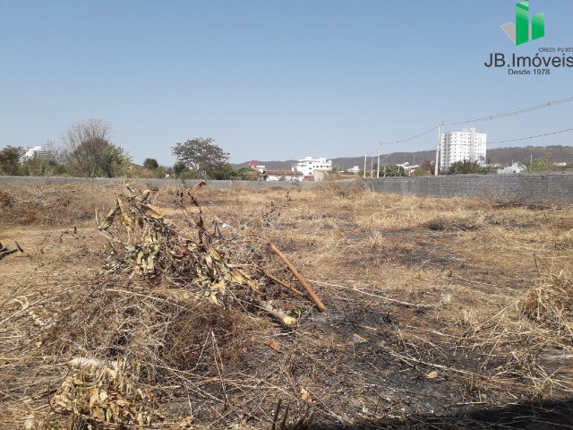 Terreno para alugar - Foto 4