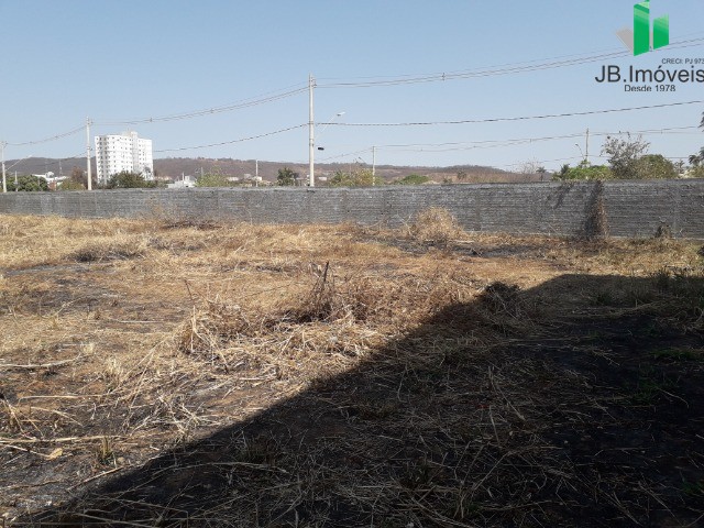 Terreno para alugar - Foto 5