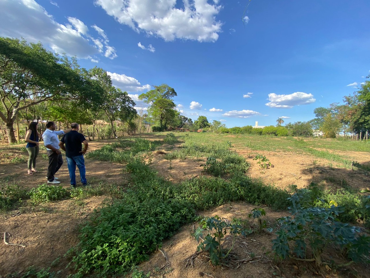 Terreno à venda e aluguel - Foto 2