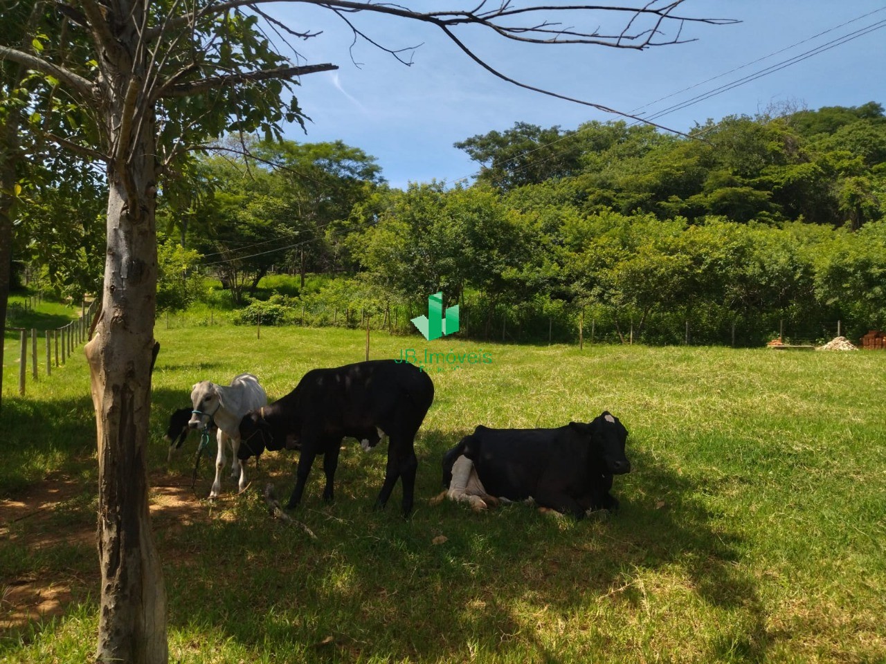 Chácara à venda com 5 quartos, 70000m² - Foto 6