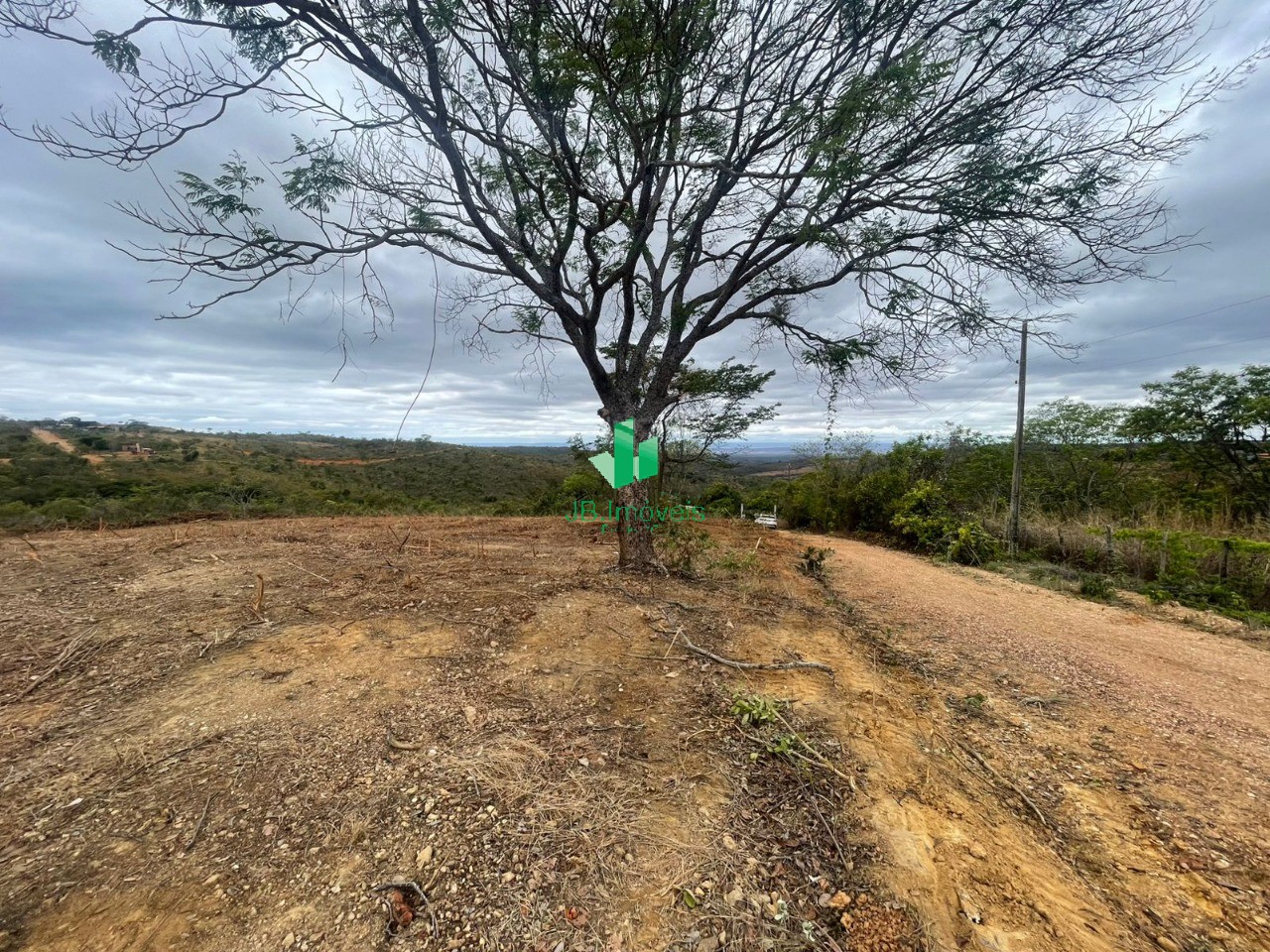 Chácara, 3 hectares - Foto 4