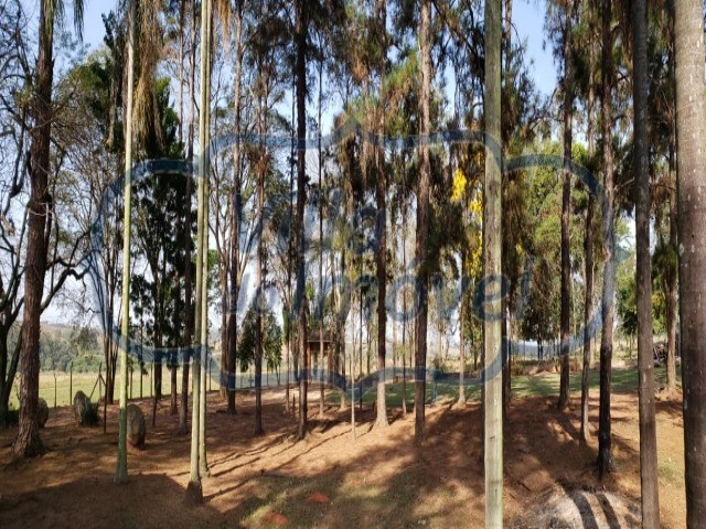 Fazenda à venda com 5 quartos, 5033000m² - Foto 13