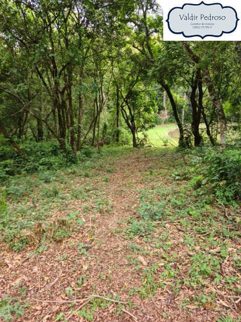 Fazenda à venda com 2 quartos, 21000m² - Foto 24