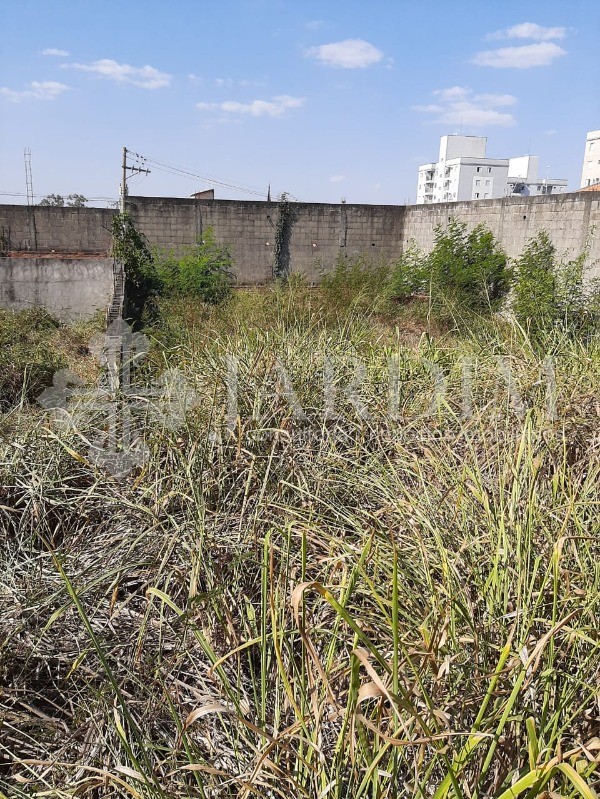 Terreno à venda, 250m² - Foto 2