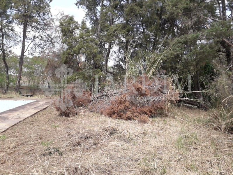 Fazenda à venda com 2 quartos, 4483m² - Foto 9