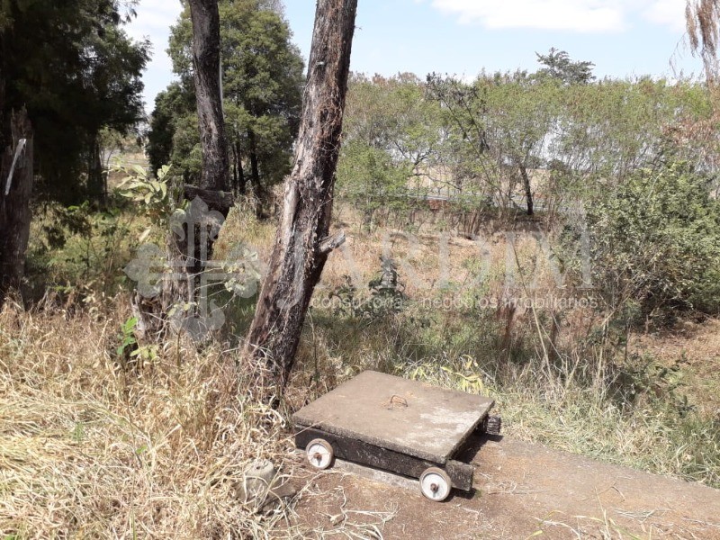 Fazenda à venda com 2 quartos, 4483m² - Foto 12