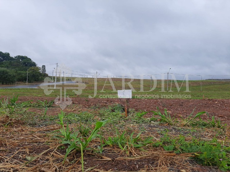 Terreno à venda, 250m² - Foto 3