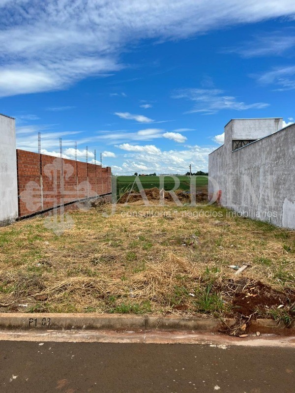 Terreno à venda, 250m² - Foto 2