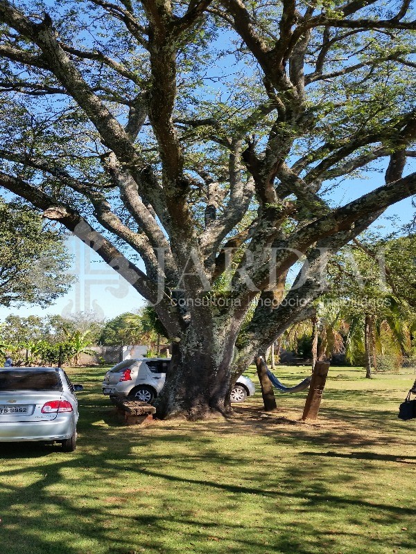 Fazenda à venda com 3 quartos, 223m² - Foto 3