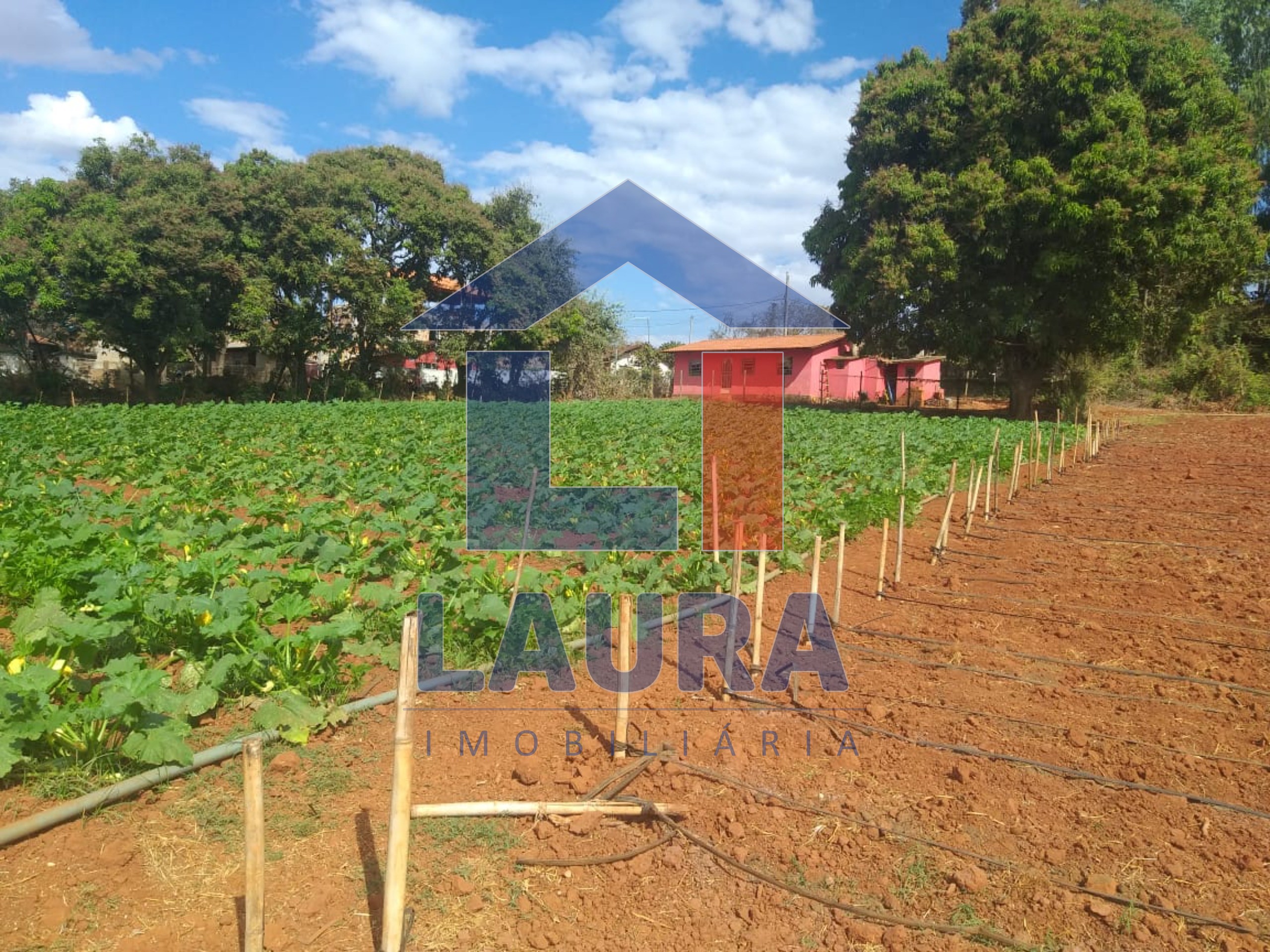 Terreno, 2000 m² - Foto 2