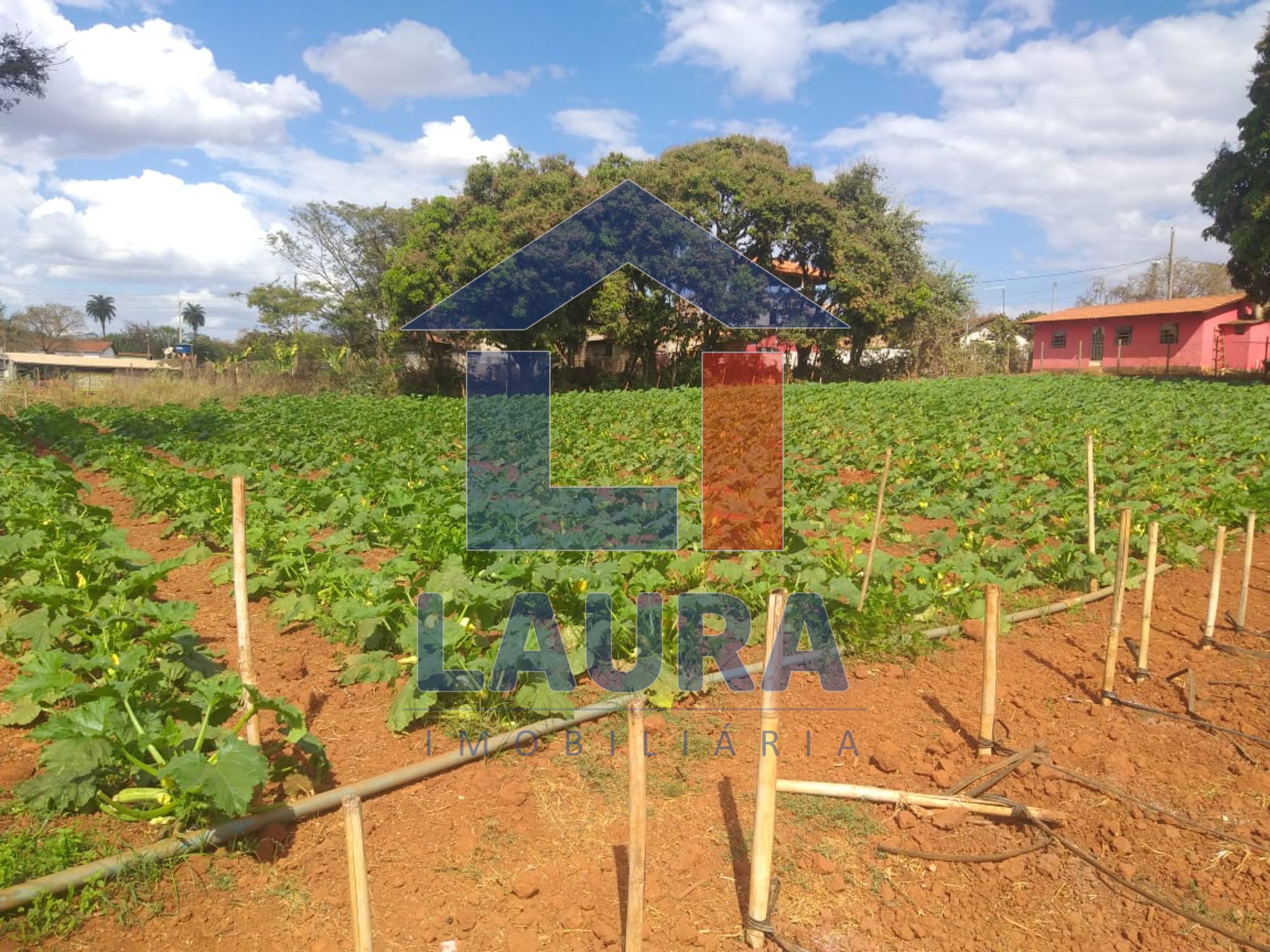 Terreno, 2000 m² - Foto 5