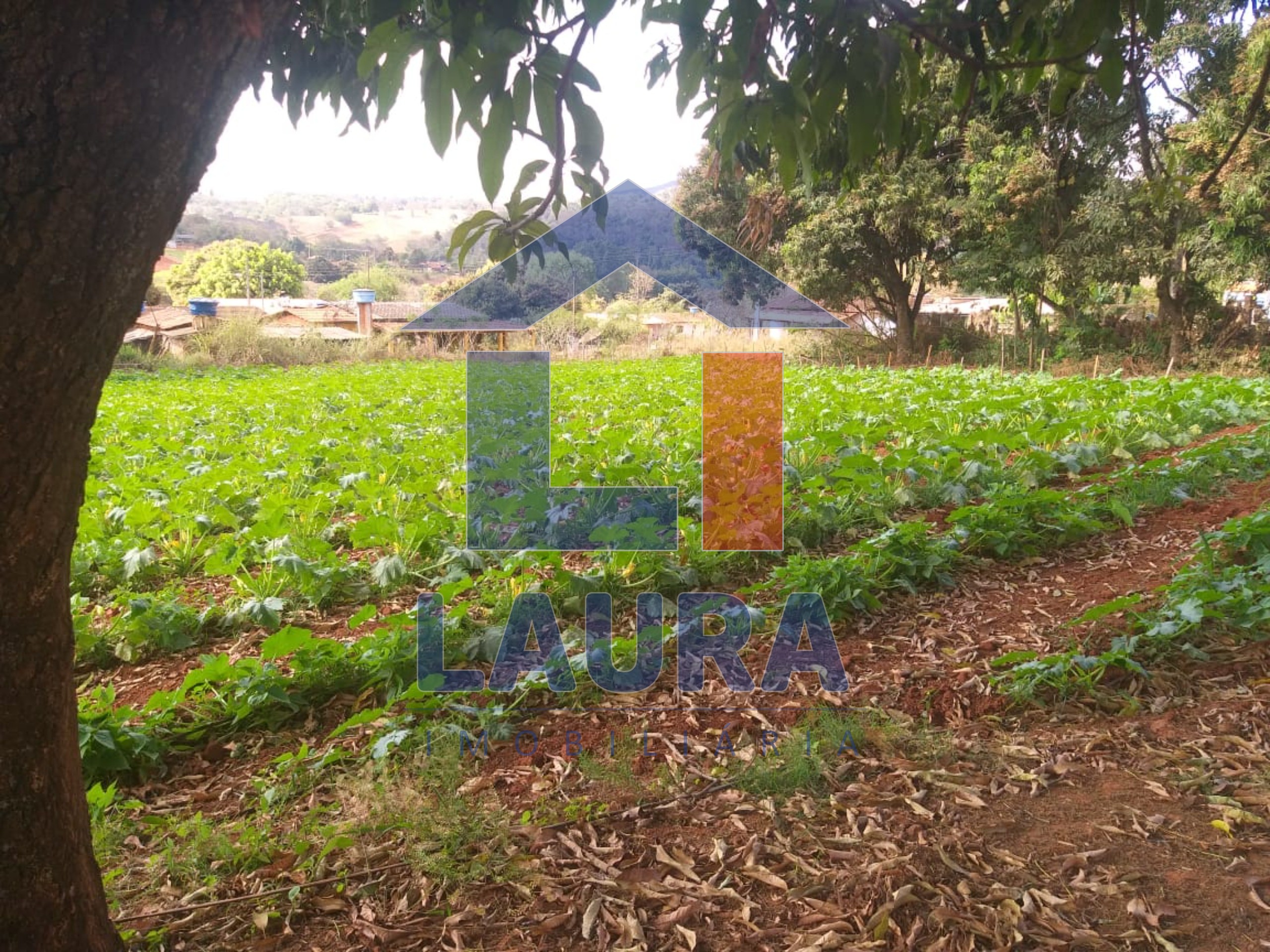 Terreno, 2000 m² - Foto 4