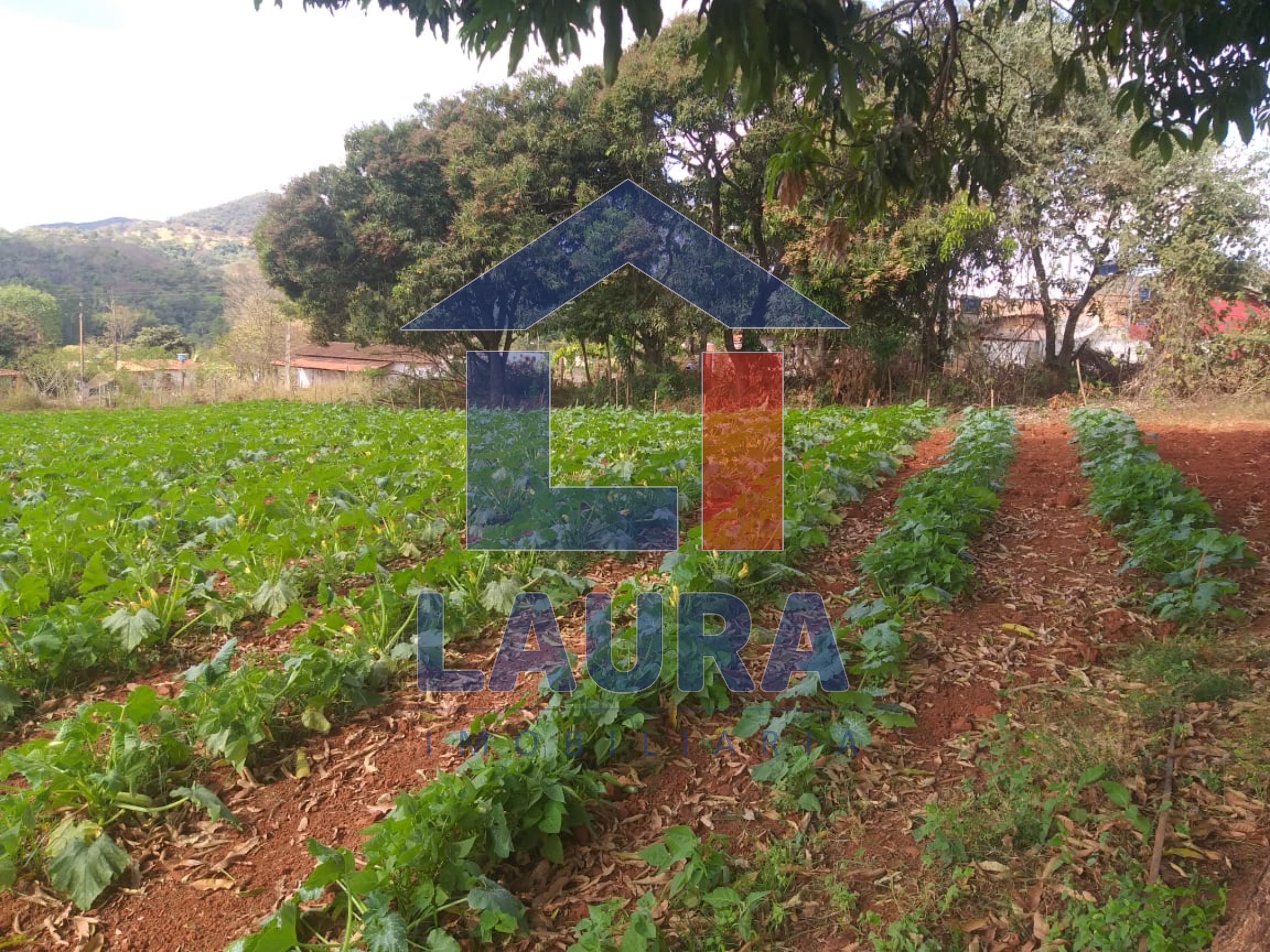 Terreno, 2000 m² - Foto 6