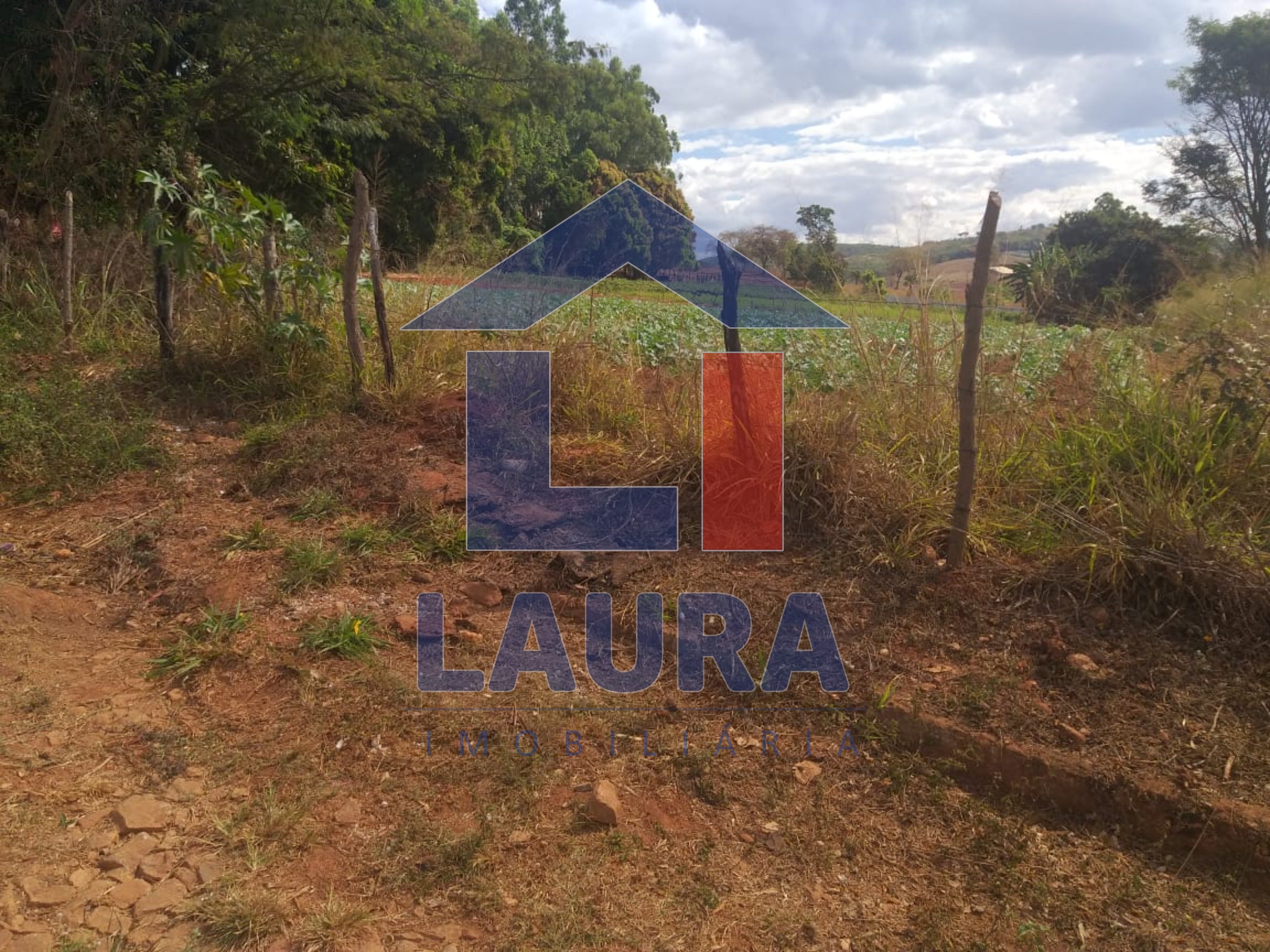 Terreno, 2000 m² - Foto 3